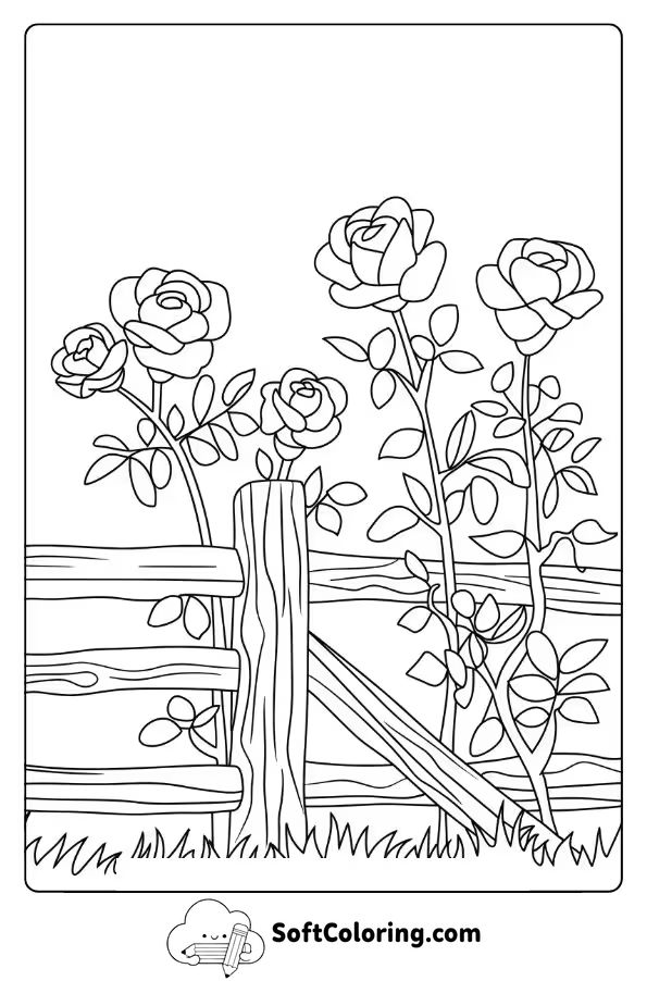 Wild Roses by a Rustic Fence