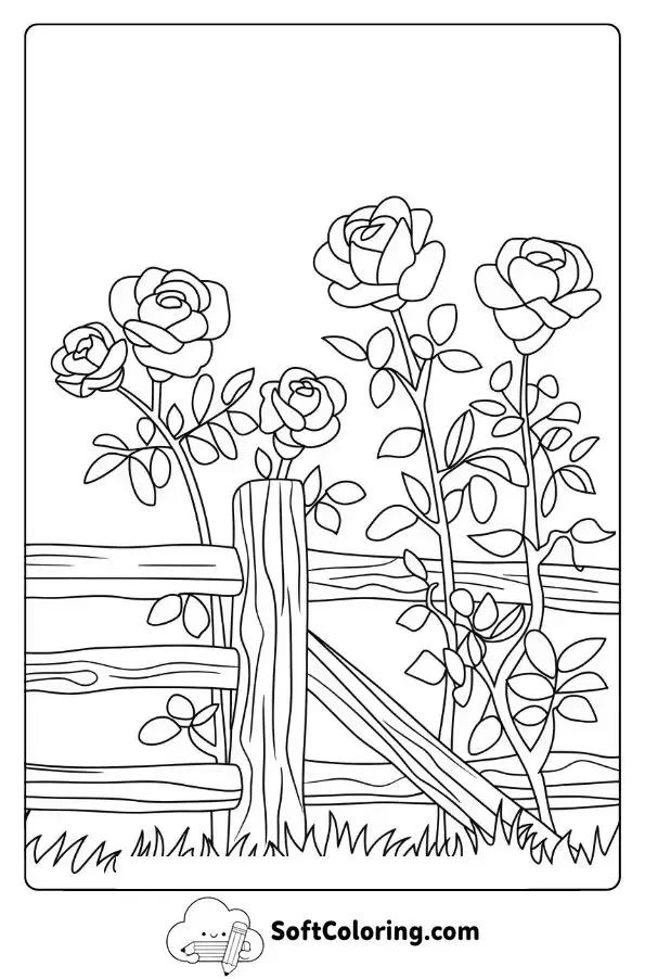 Wild Roses By A Rustic Fence