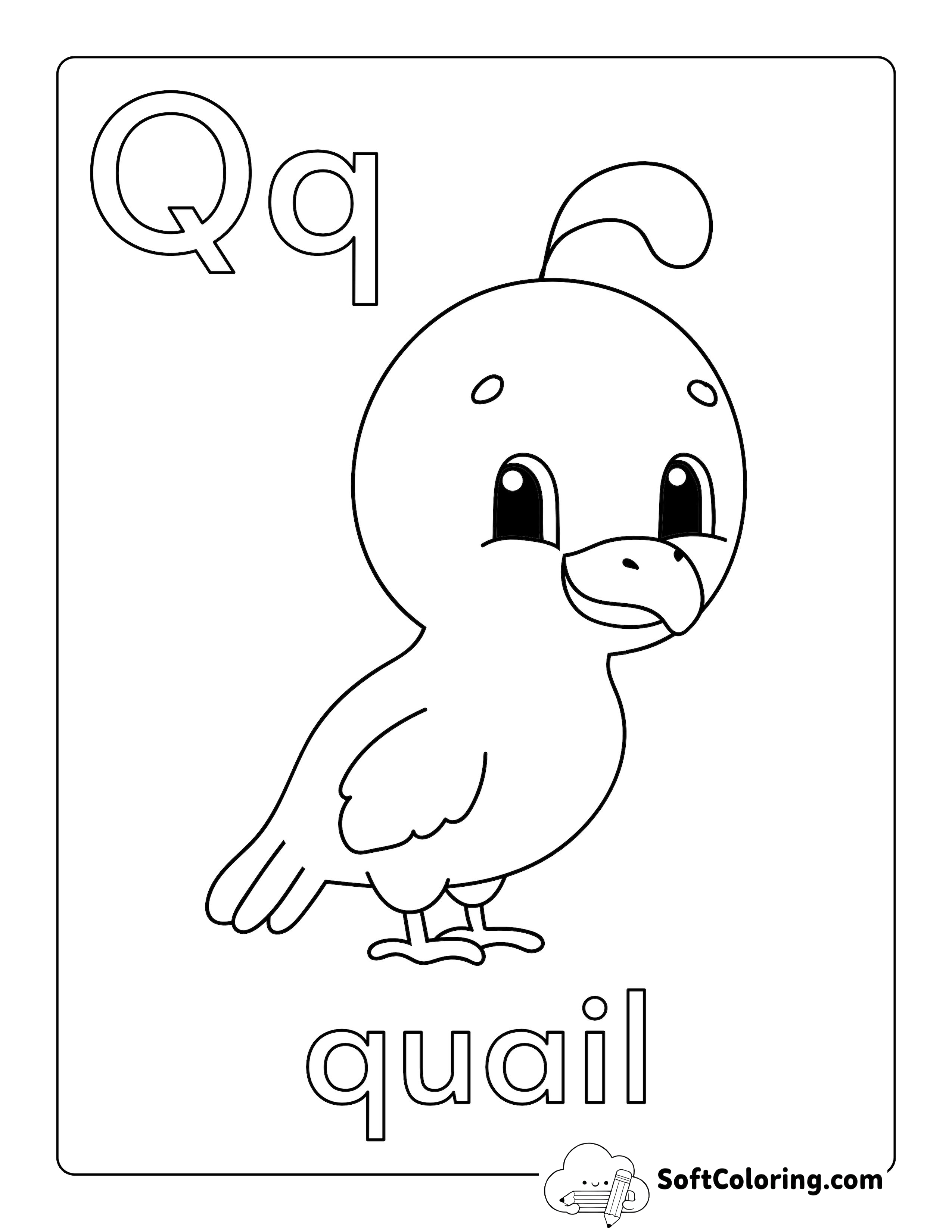 "Q is for Quail" Alphabet Printable