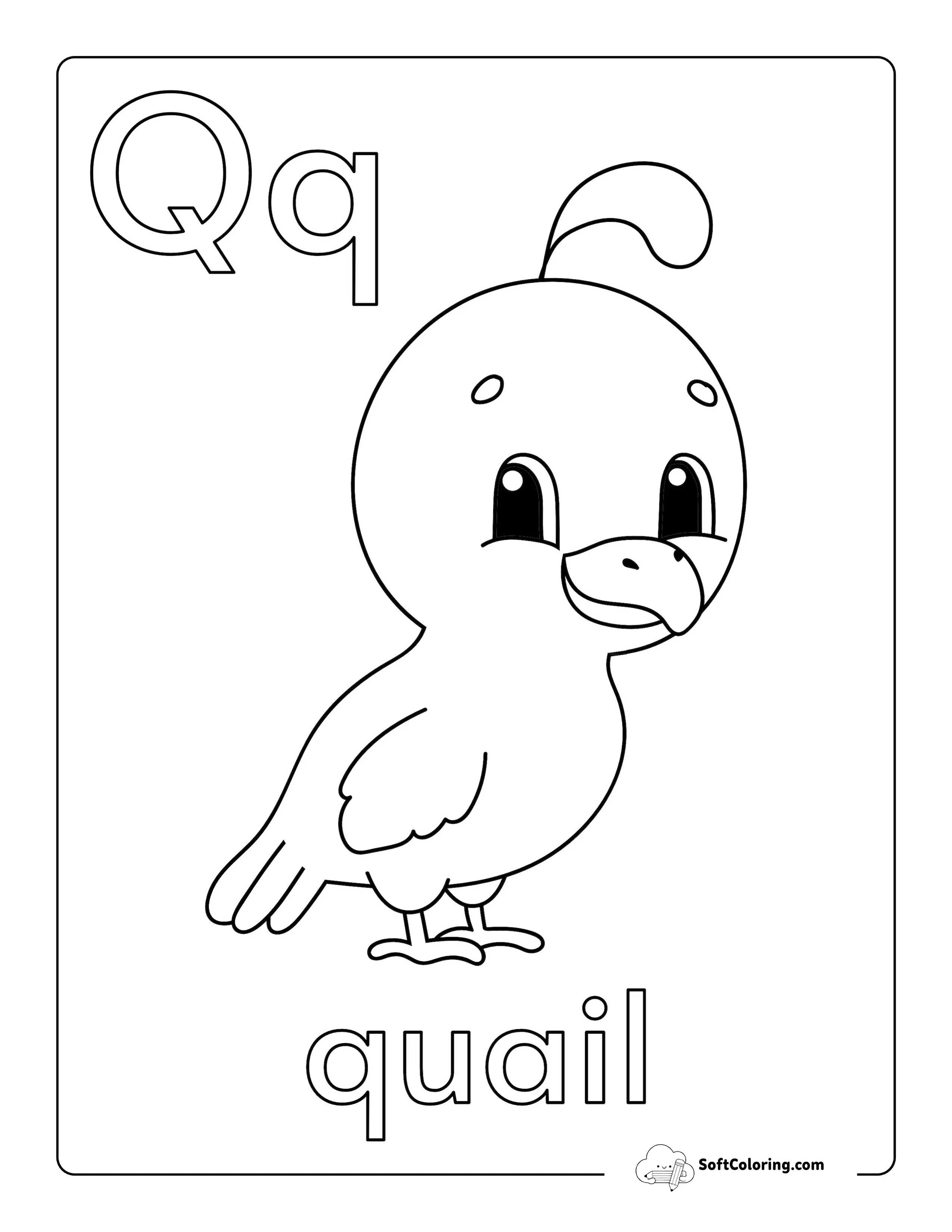 "Q Is For Quail" Alphabet Printable