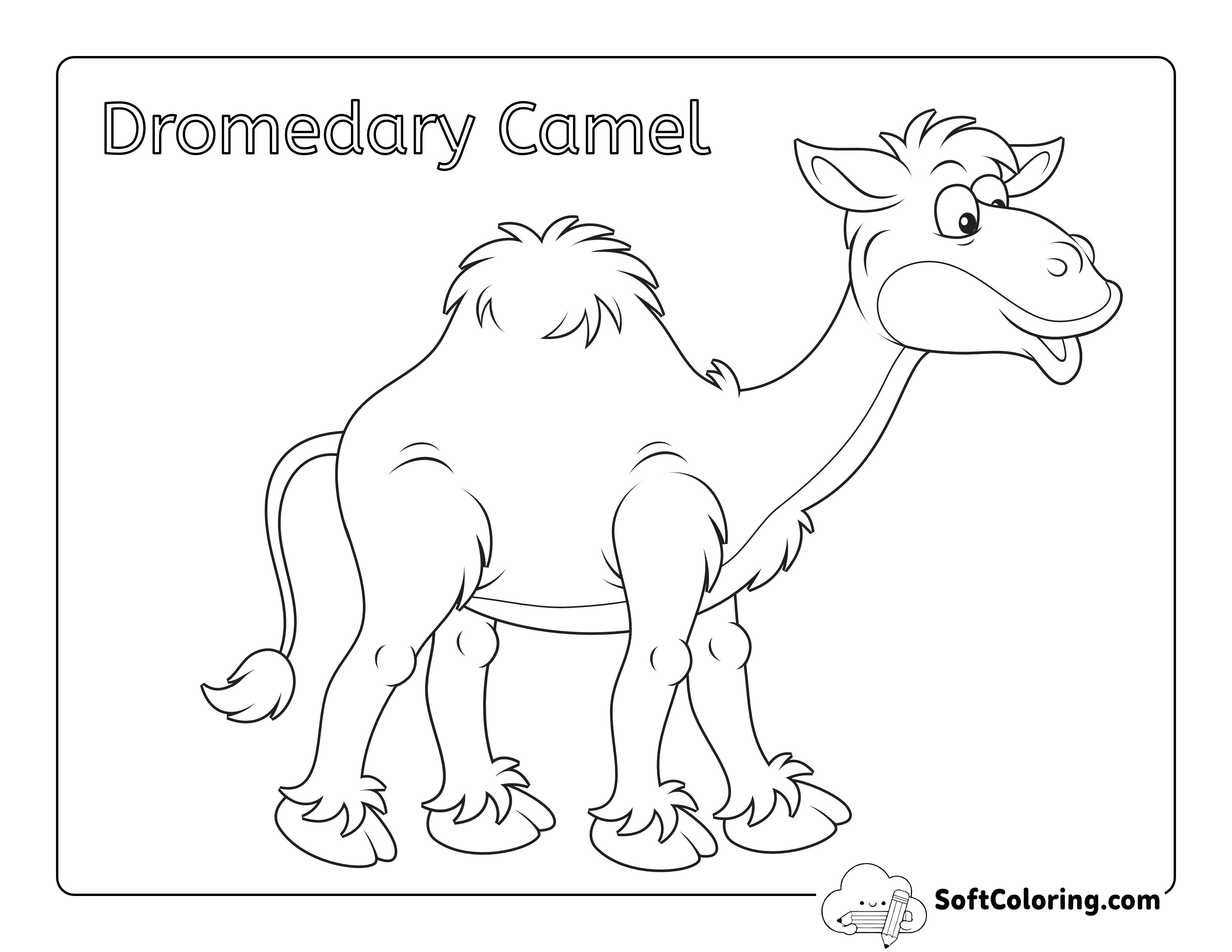 Camel - Easy Animal Coloring Sheet