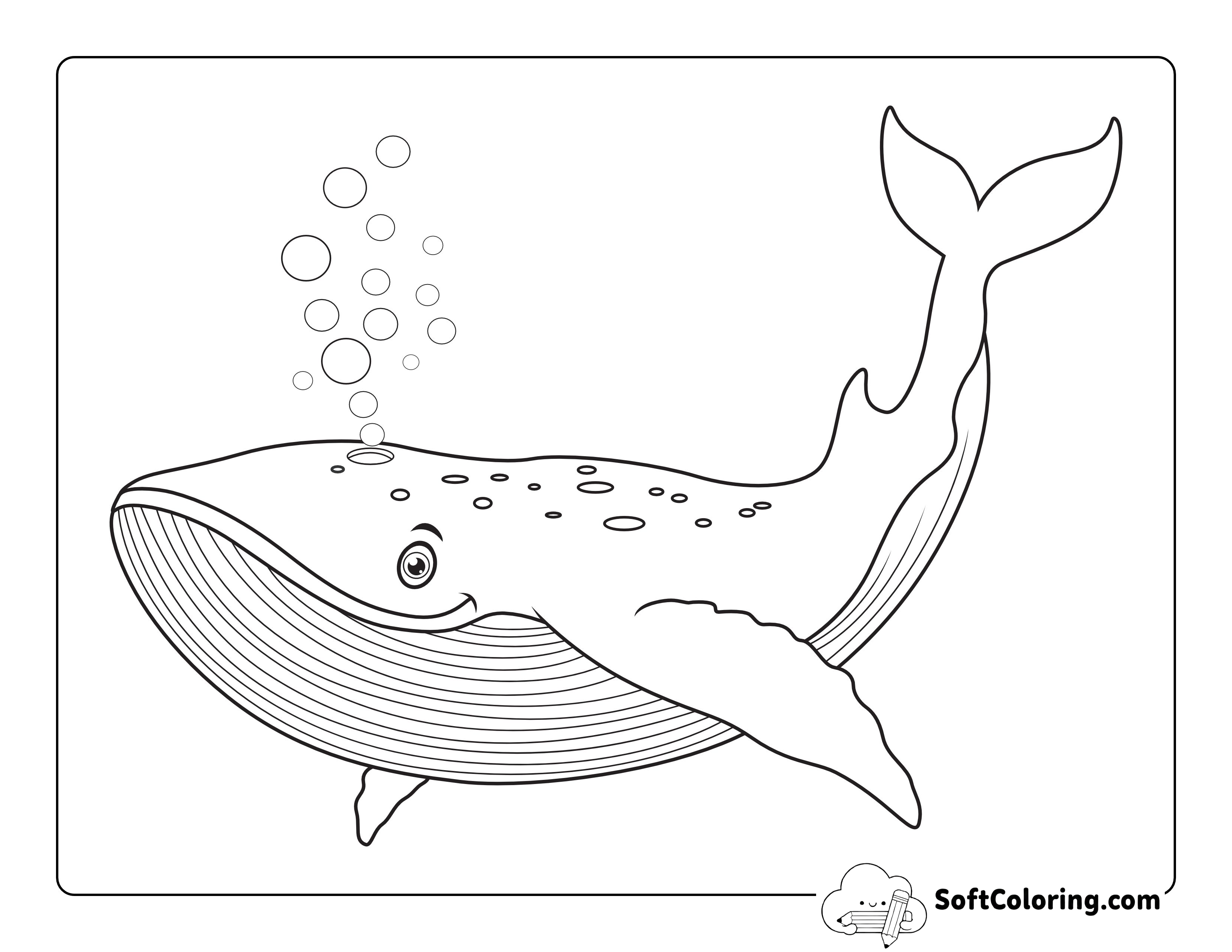 Simple Blue Whale Coloring Page Whale