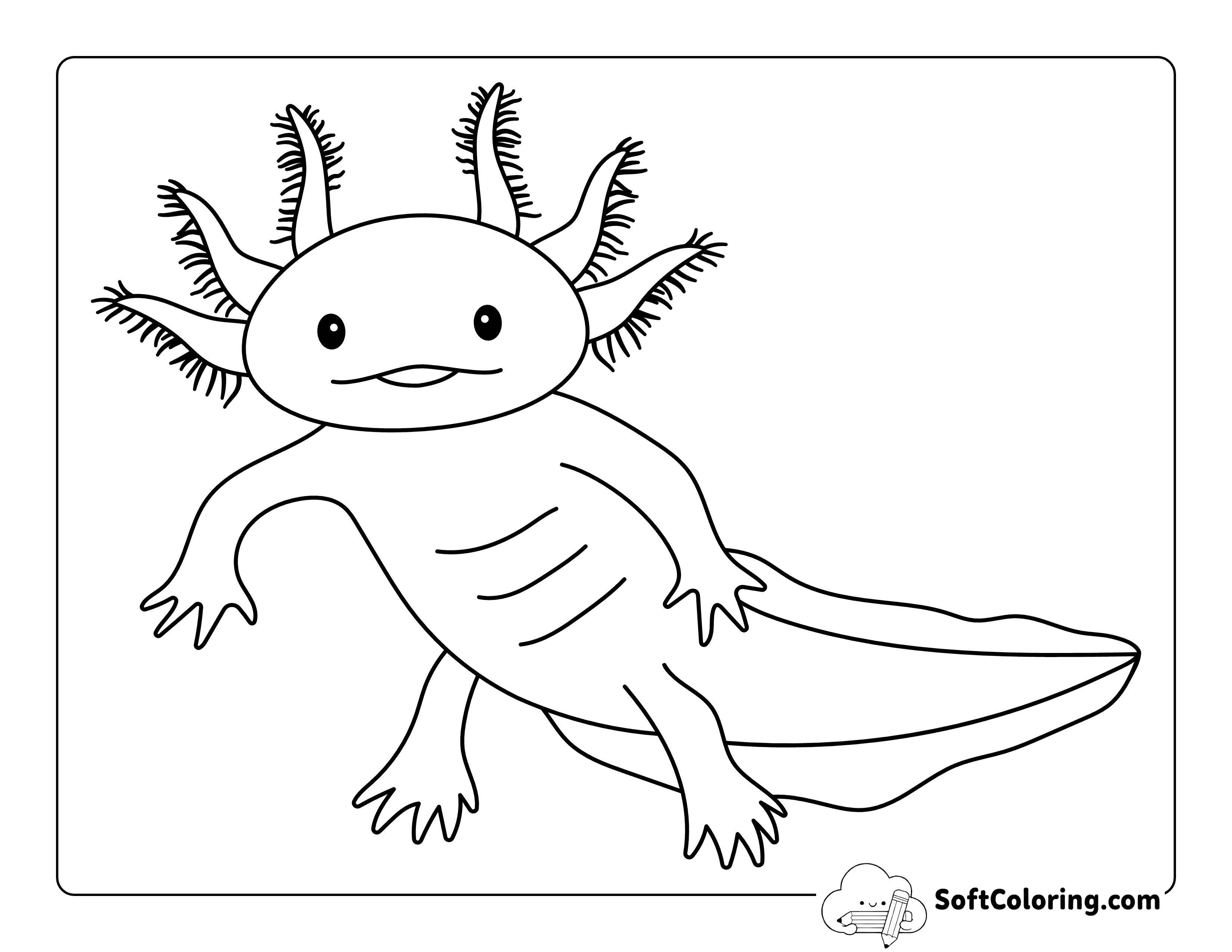 Cute and Realistic Axolotl Drawing to Color