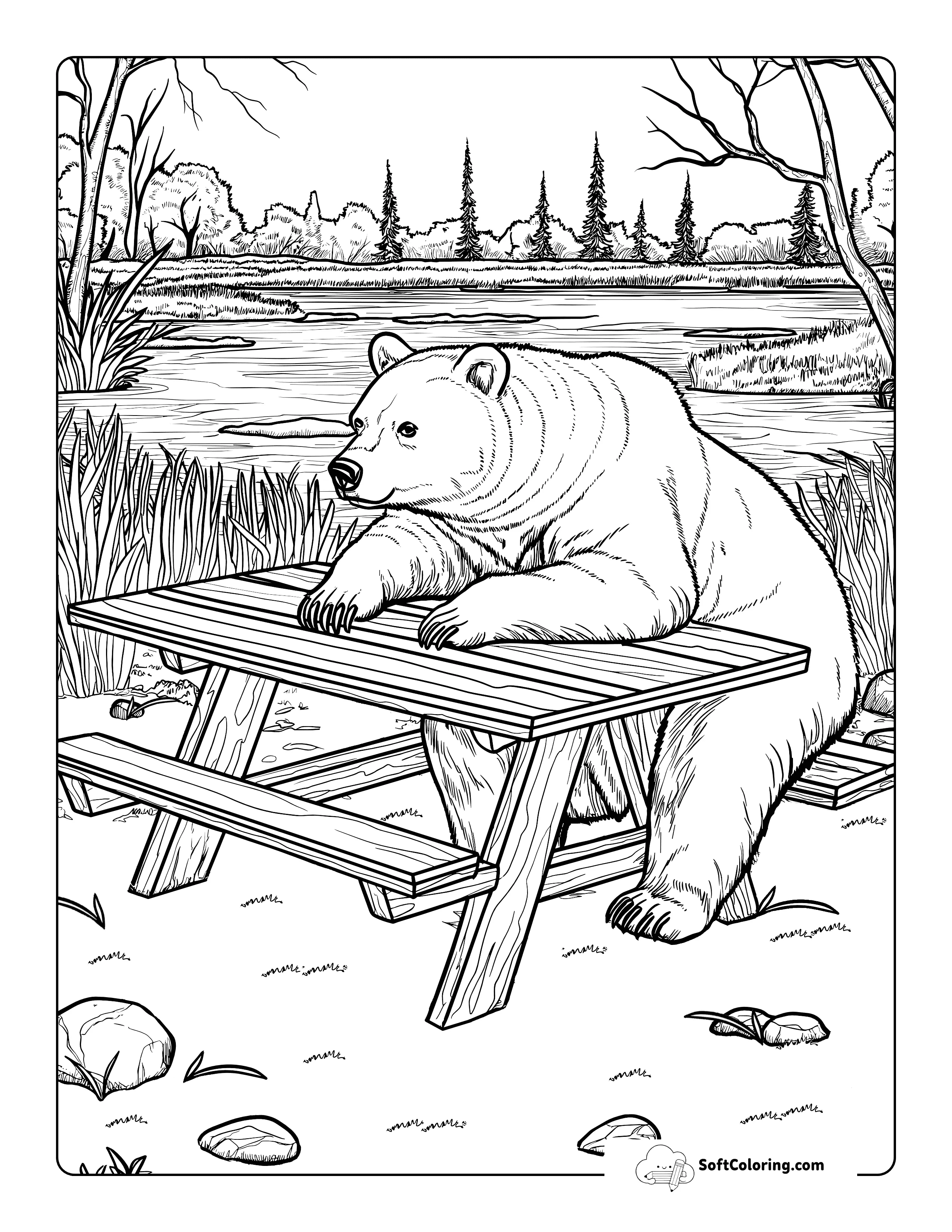 Realistic Bear At A Picnic Table Printable For Adults To Color