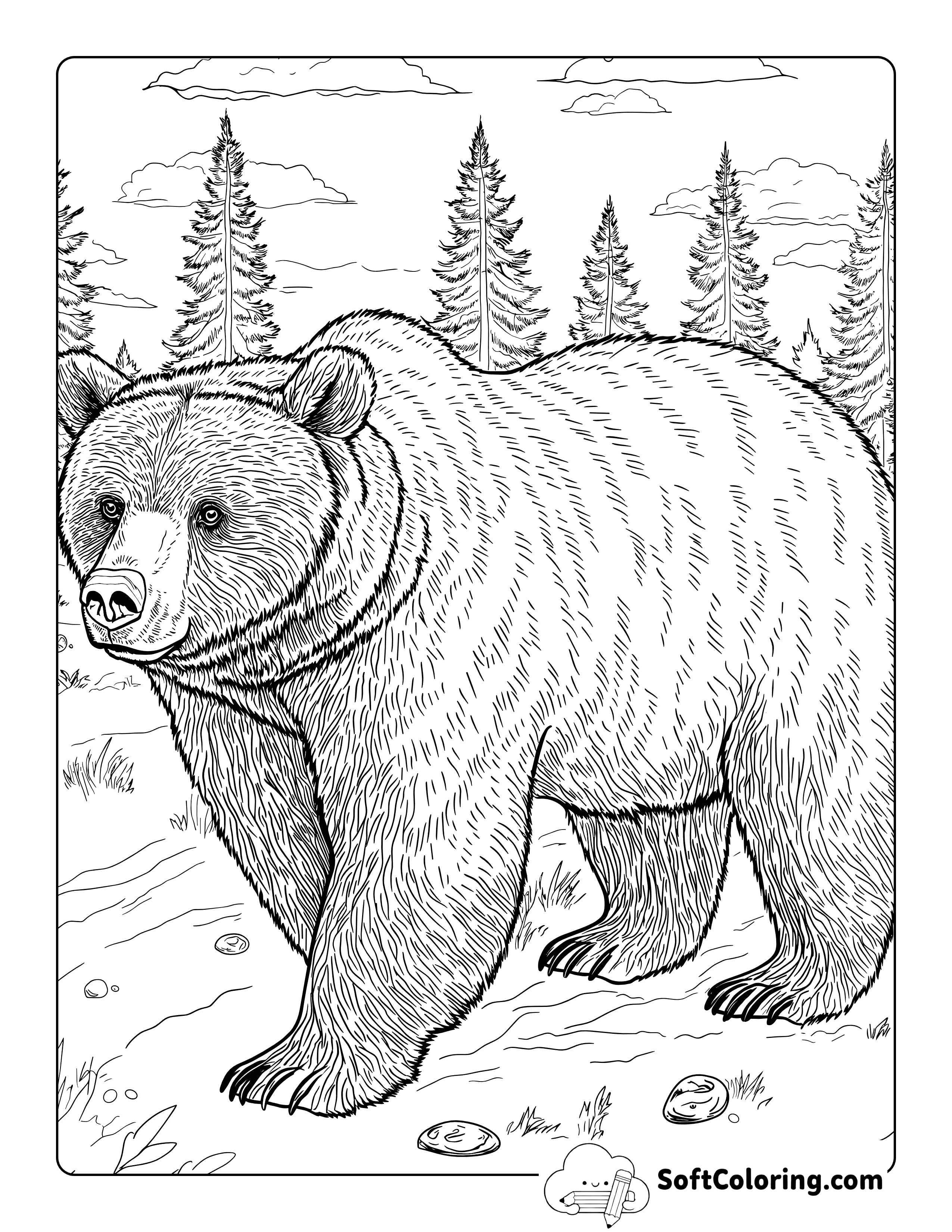 Realistic Brown Bear Coloring Page for Adults