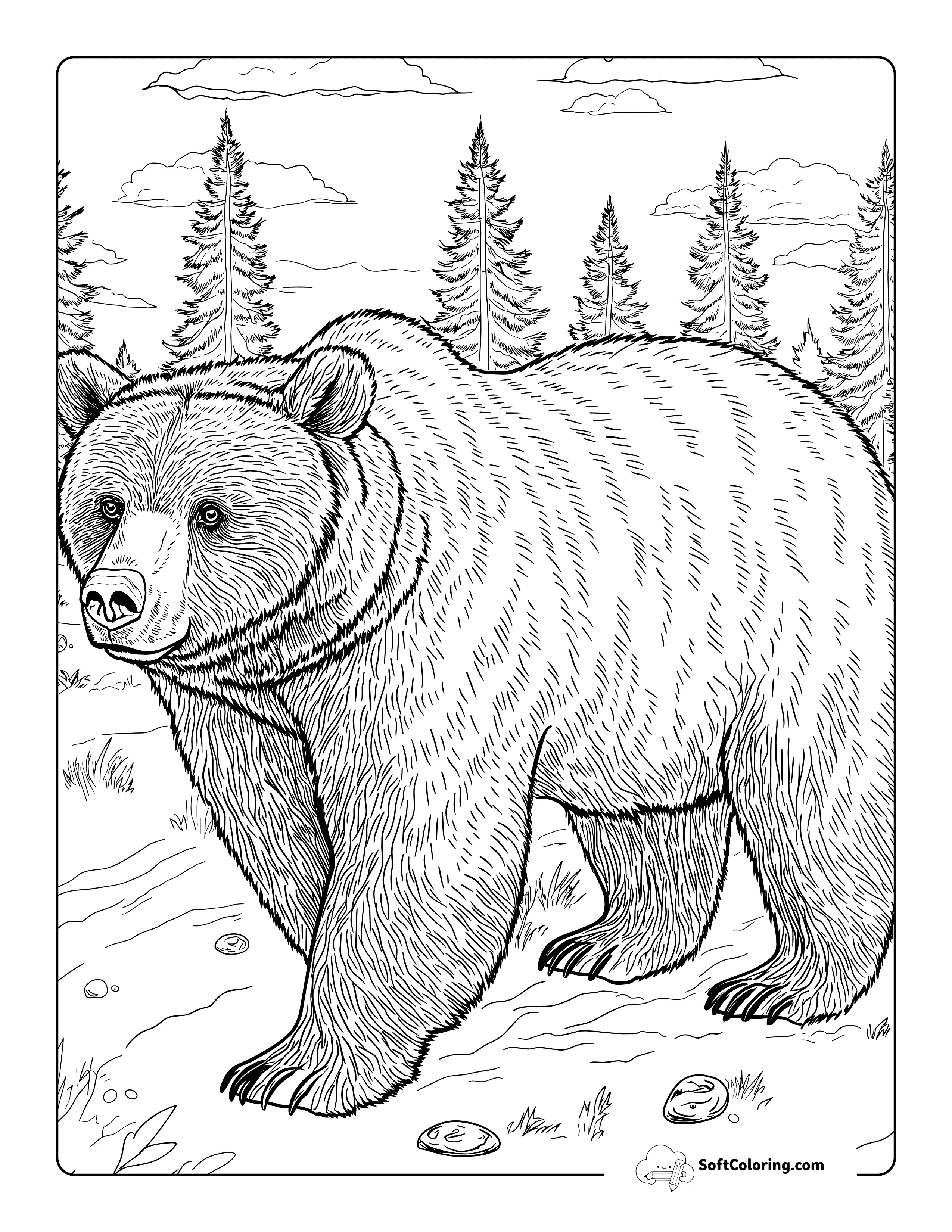 Realistic Brown Bear Coloring Page For Adults