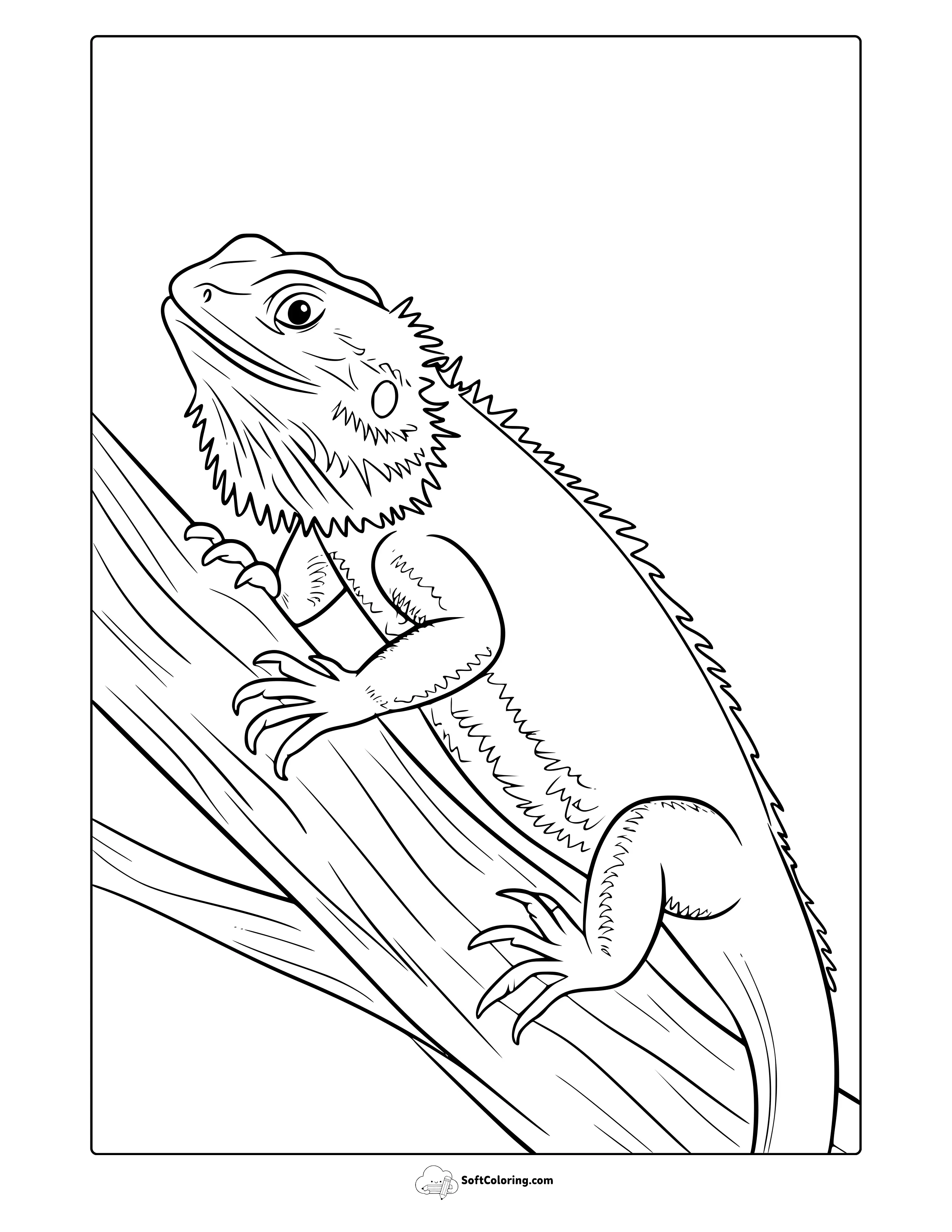 Bearded Dragon Coloring Page