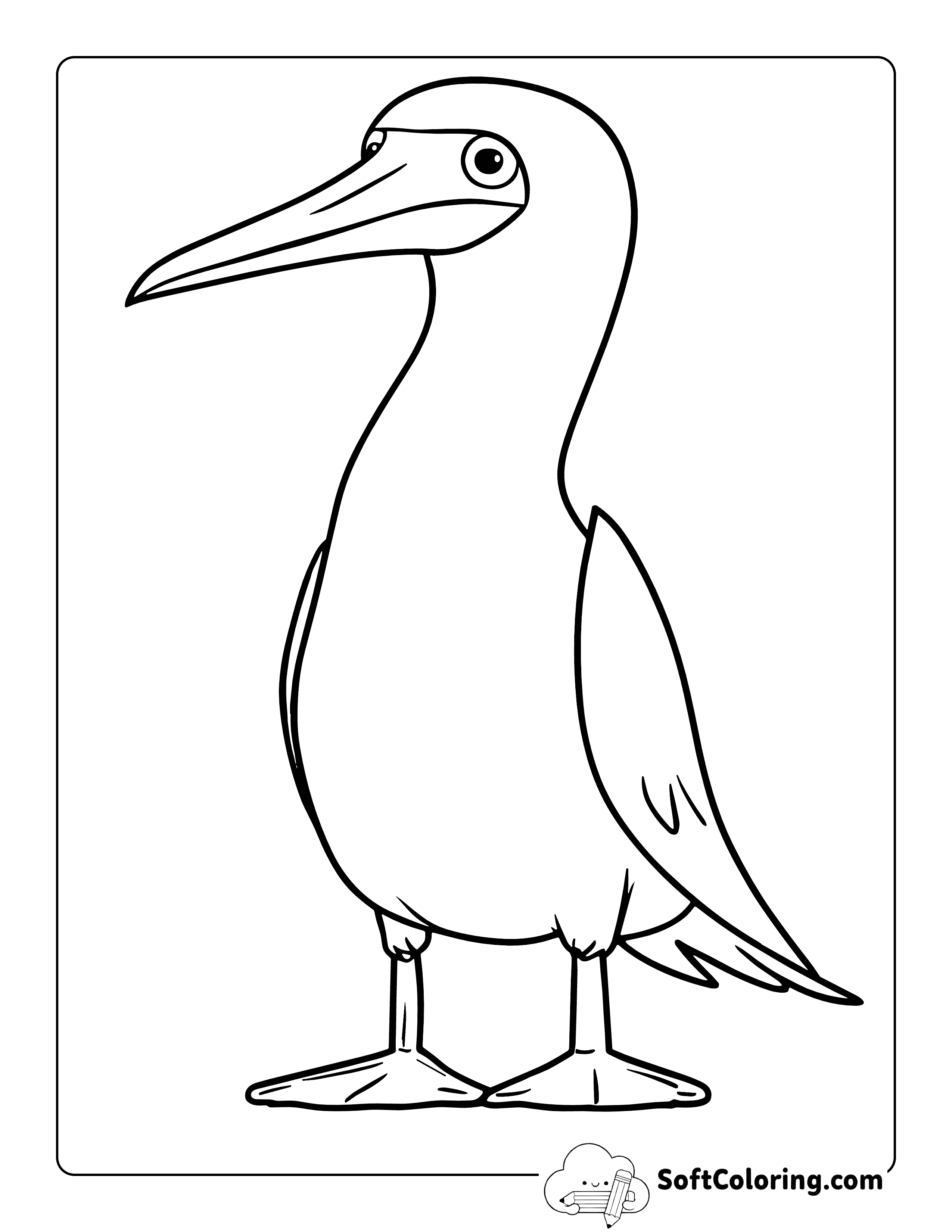Funny Blue Footed Boobie Bird Coloring Page