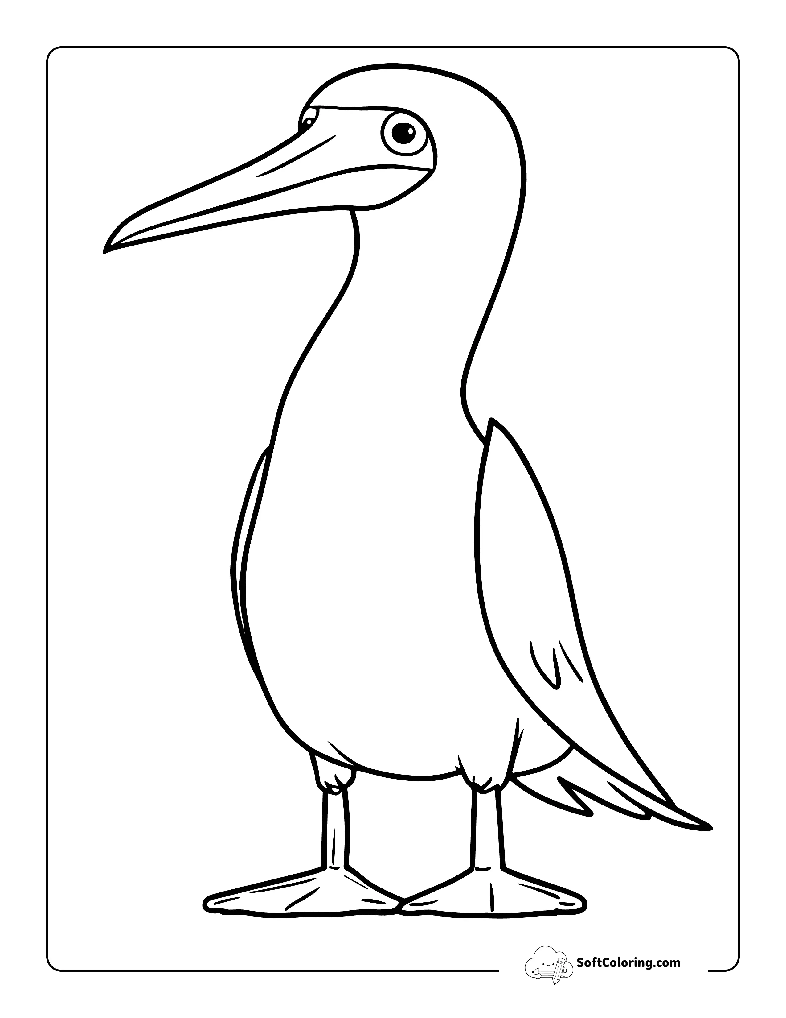 Funny Blue Footed Boobie Bird Coloring Page