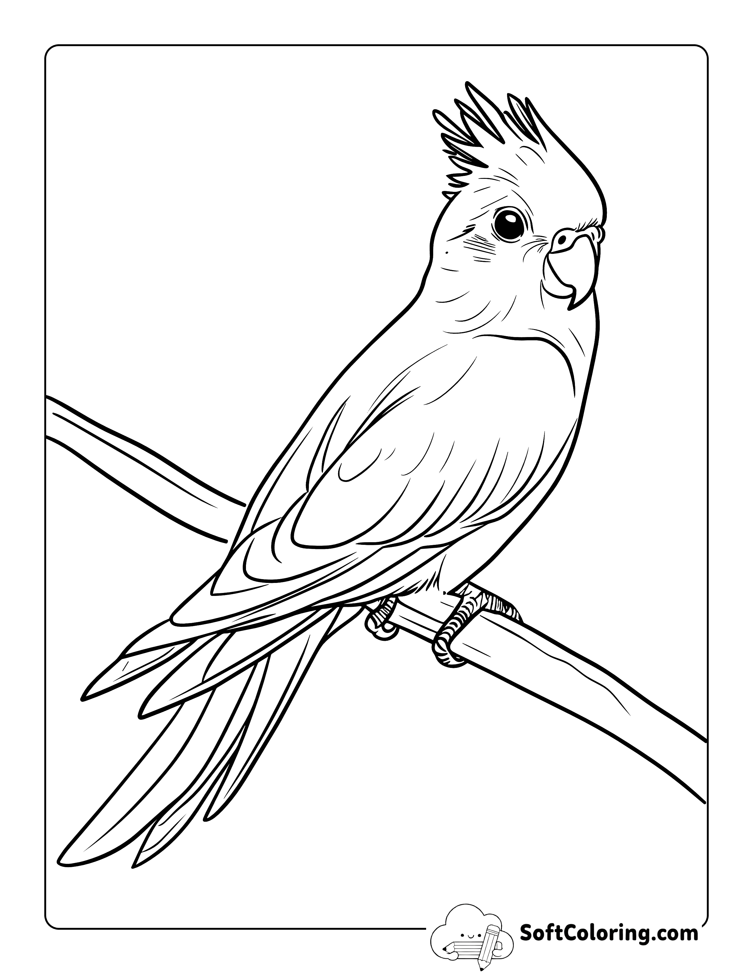 Simple Cockatiel Easy Bird Coloring Page