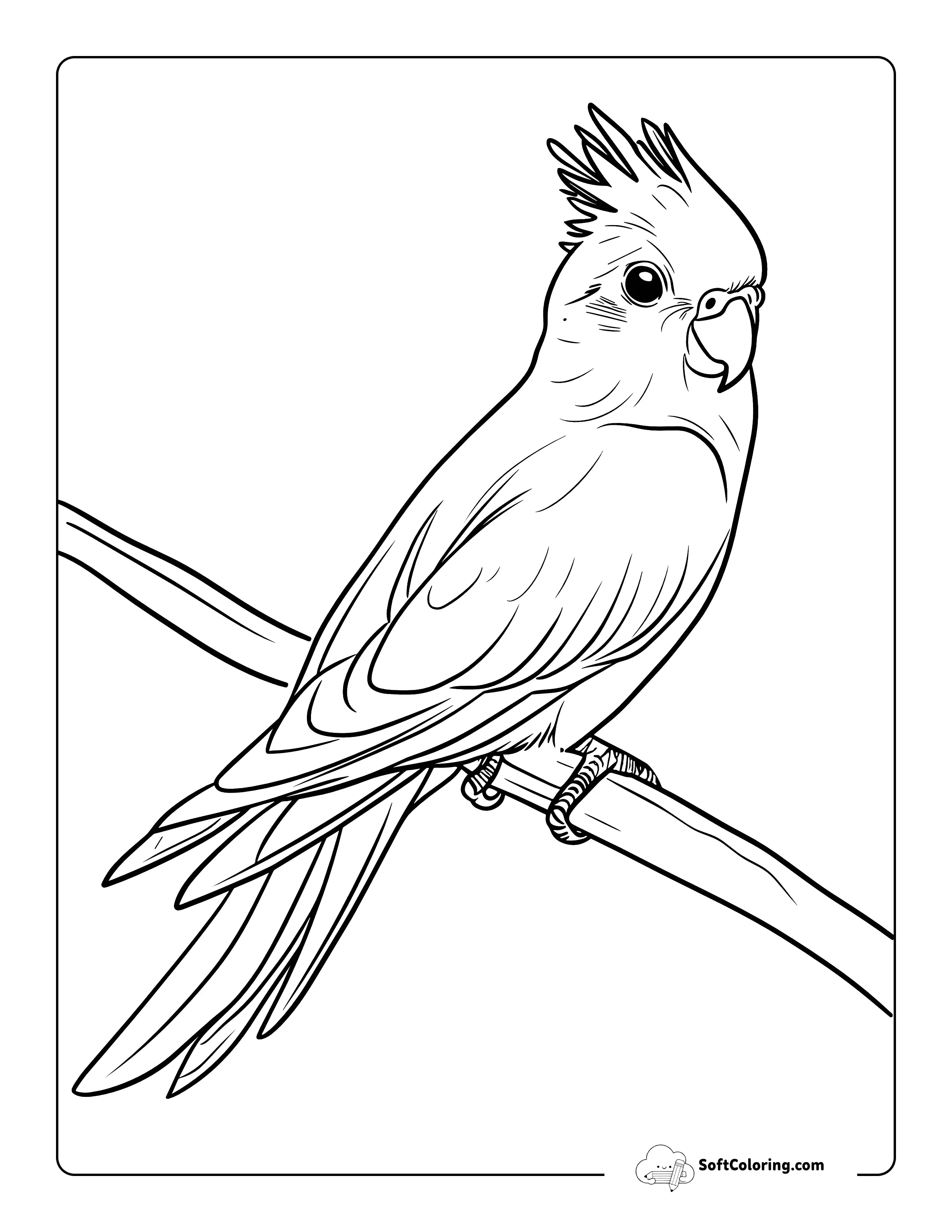 Simple Cockatiel Easy Bird Coloring Page