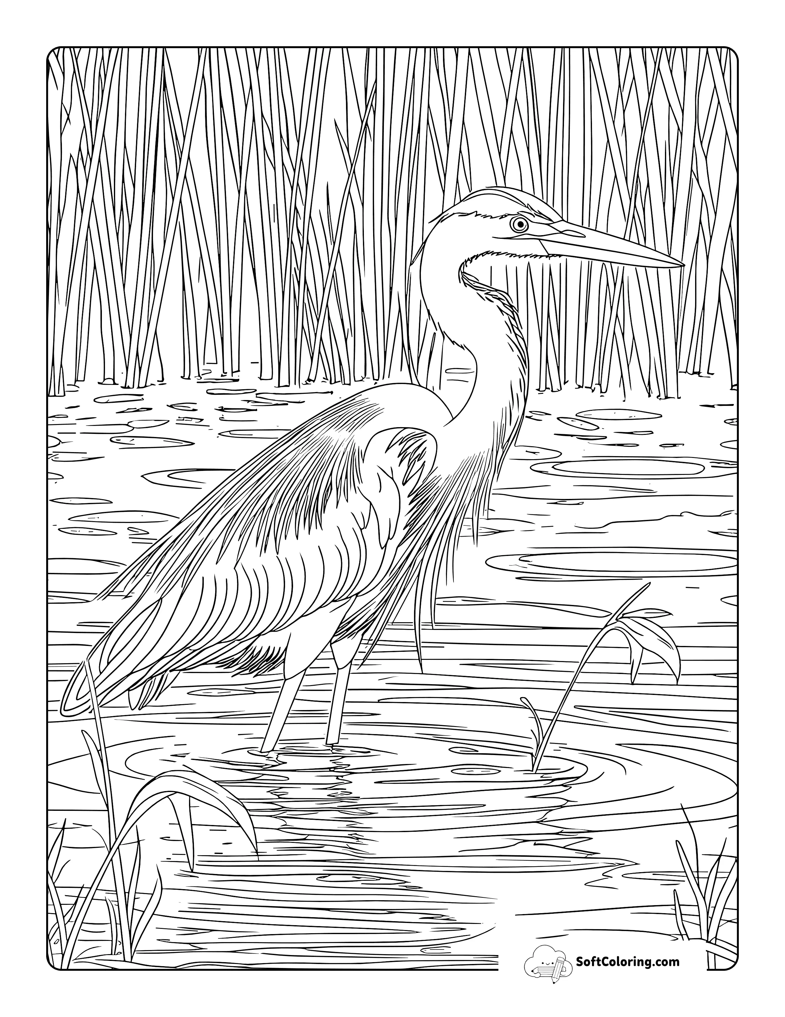 Realistic Heron In A Pond Printable Coloring Page