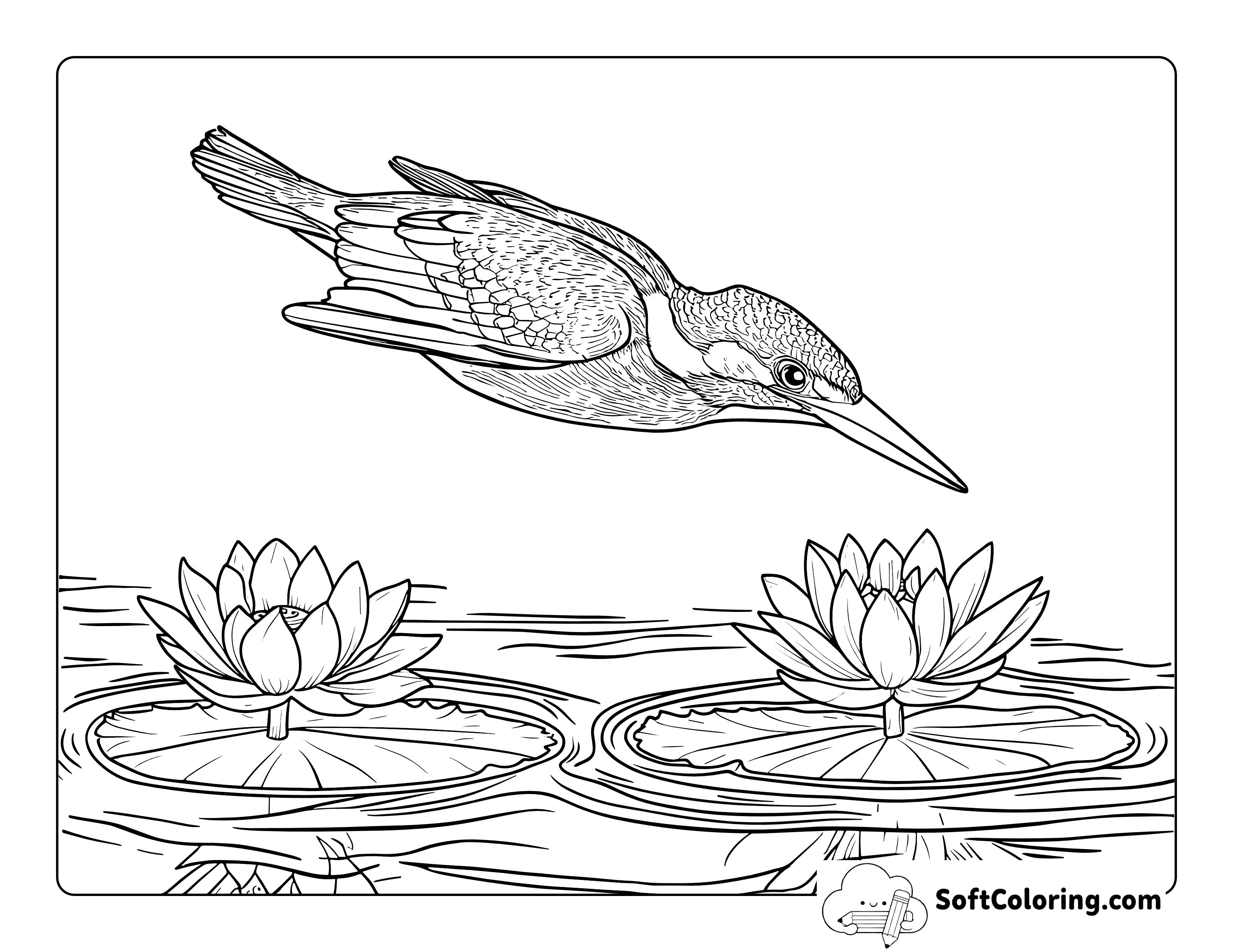 Lily Pads and Realistic Kingfisher Bird Coloring Sheet for Adults