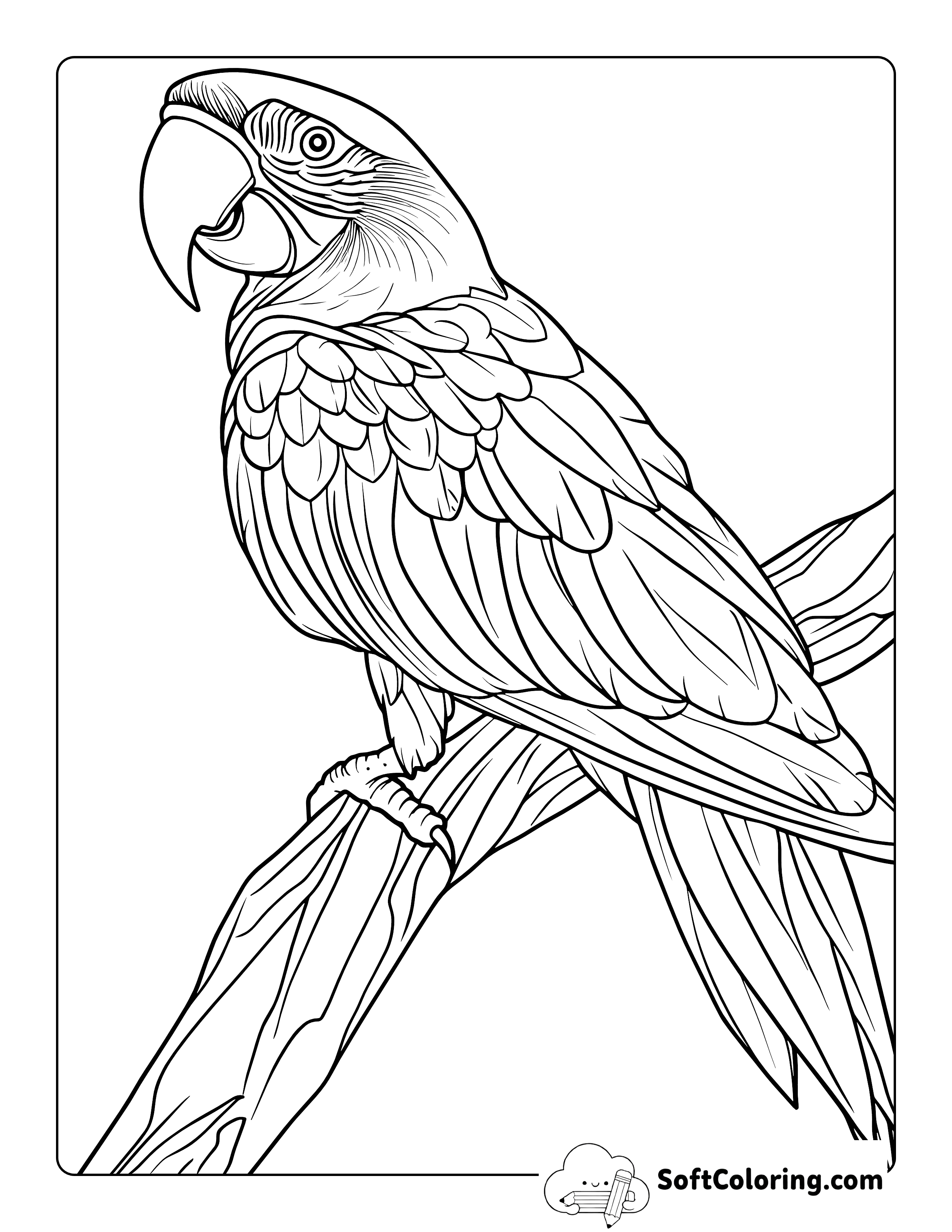 Realistic Parrot Coloring Sheet Printable for Adults