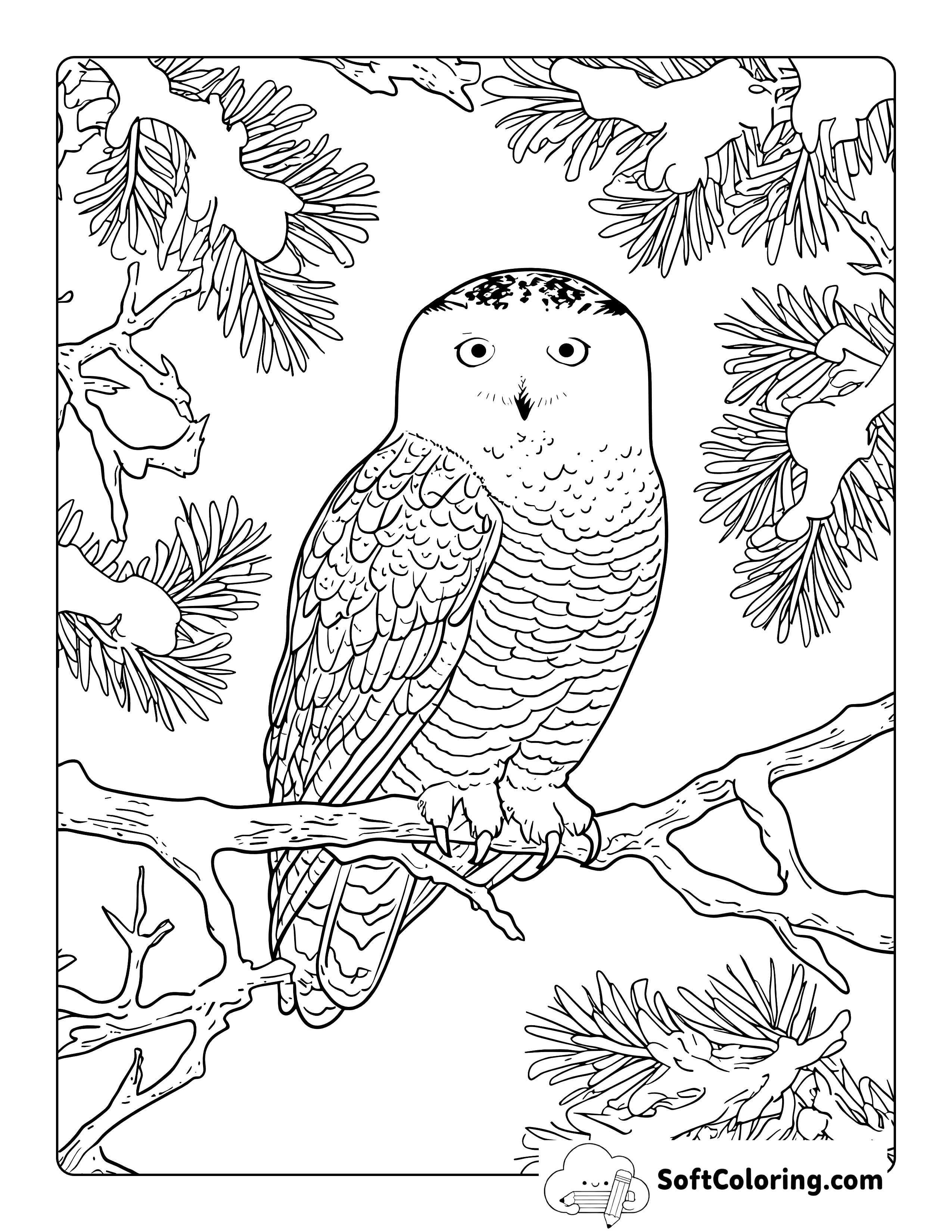 Cute Realistic Snowy Owl Coloring Page for Adults