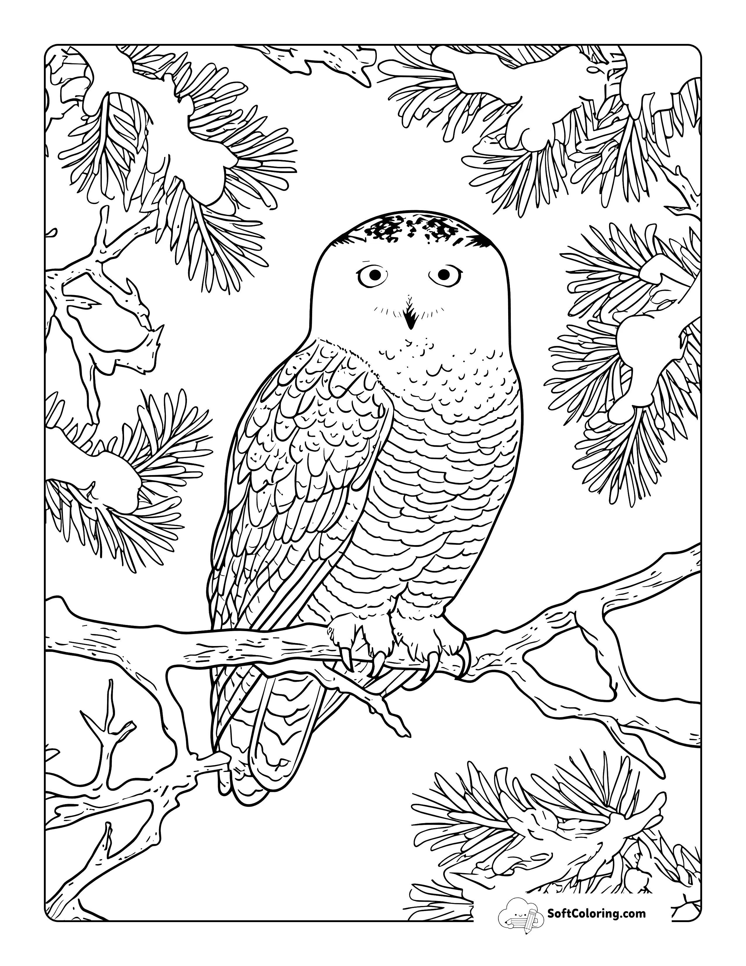 Cute Realistic Snowy Owl Coloring Page For Adults