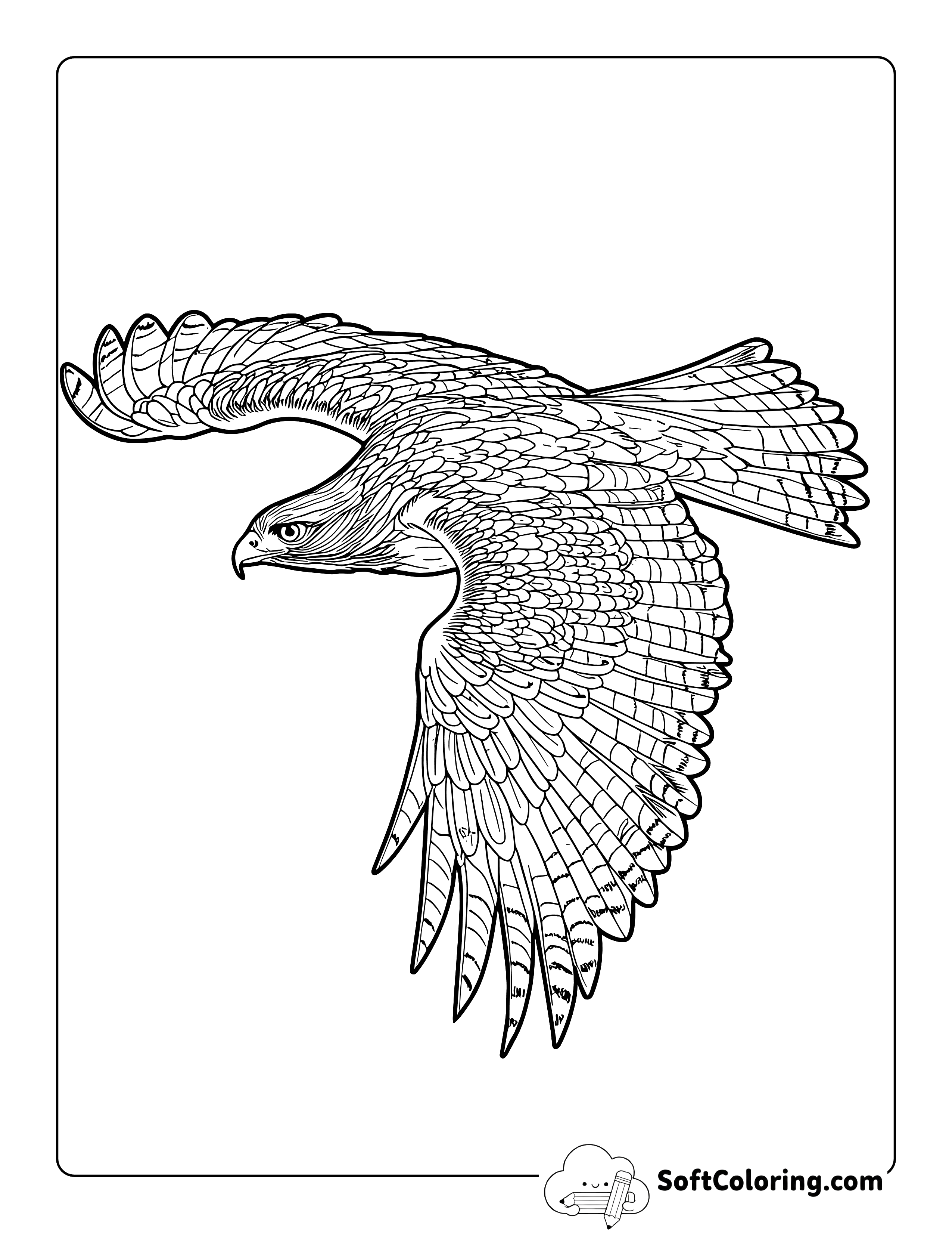 Realistic Hawk Coloring Sheet for Adults
