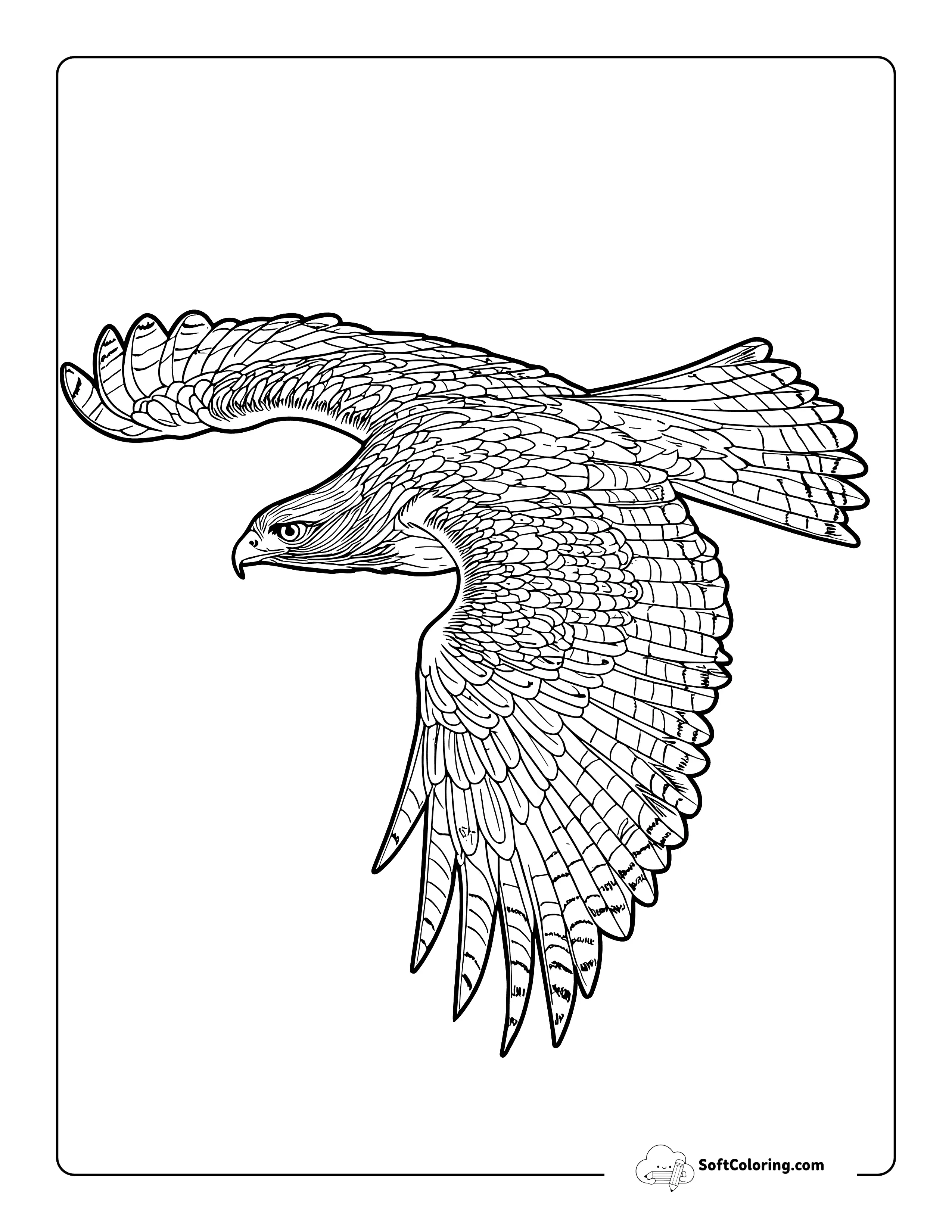 Realistic Hawk Coloring Sheet For Adults