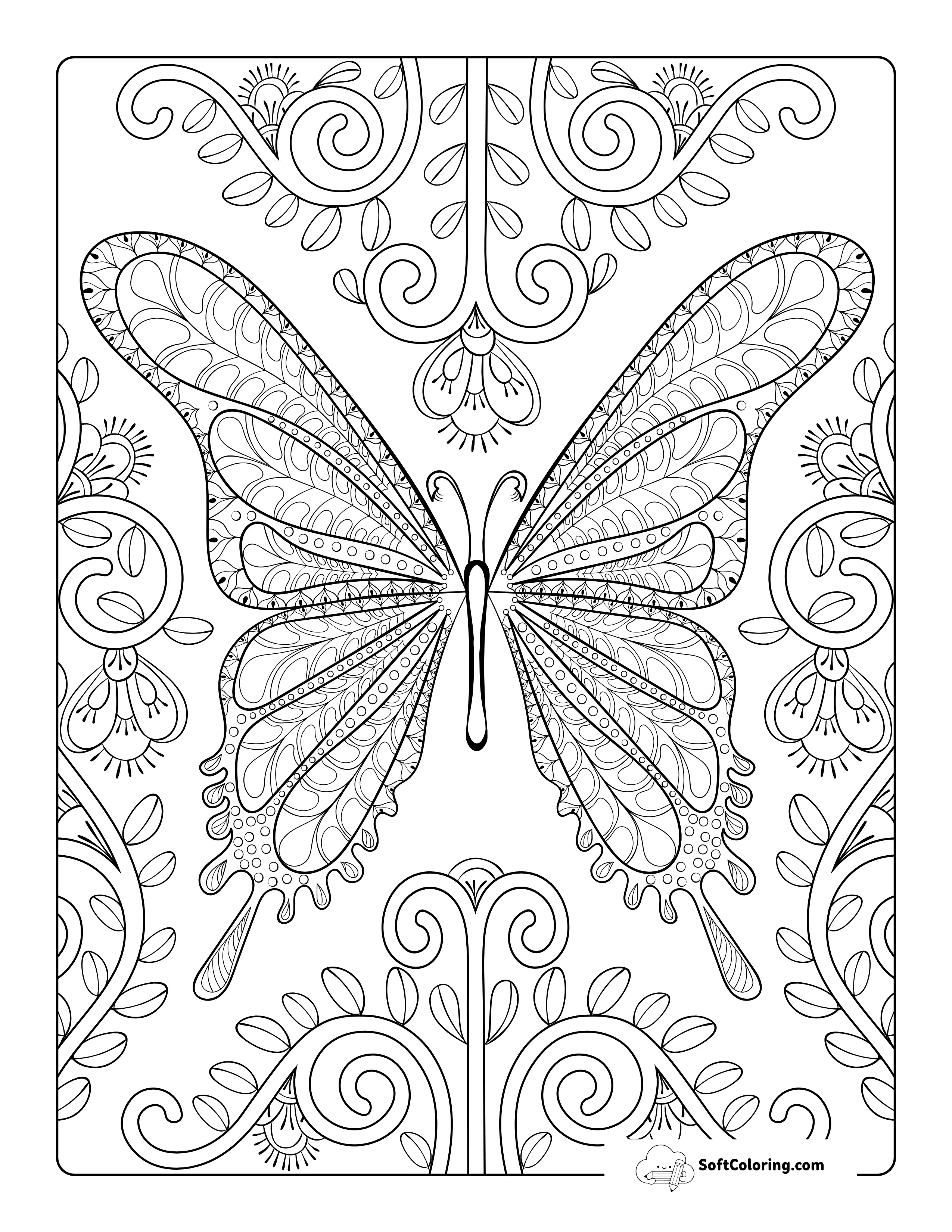 Detailed Butterfly Picture To Color