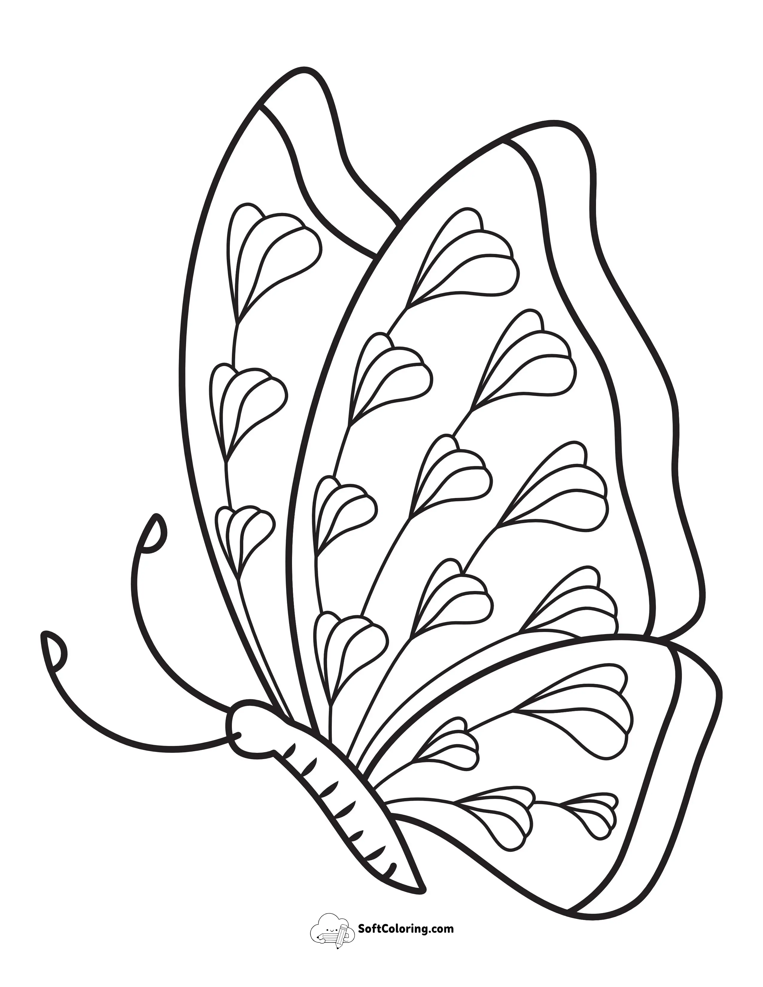 Butterfly 6 - Side