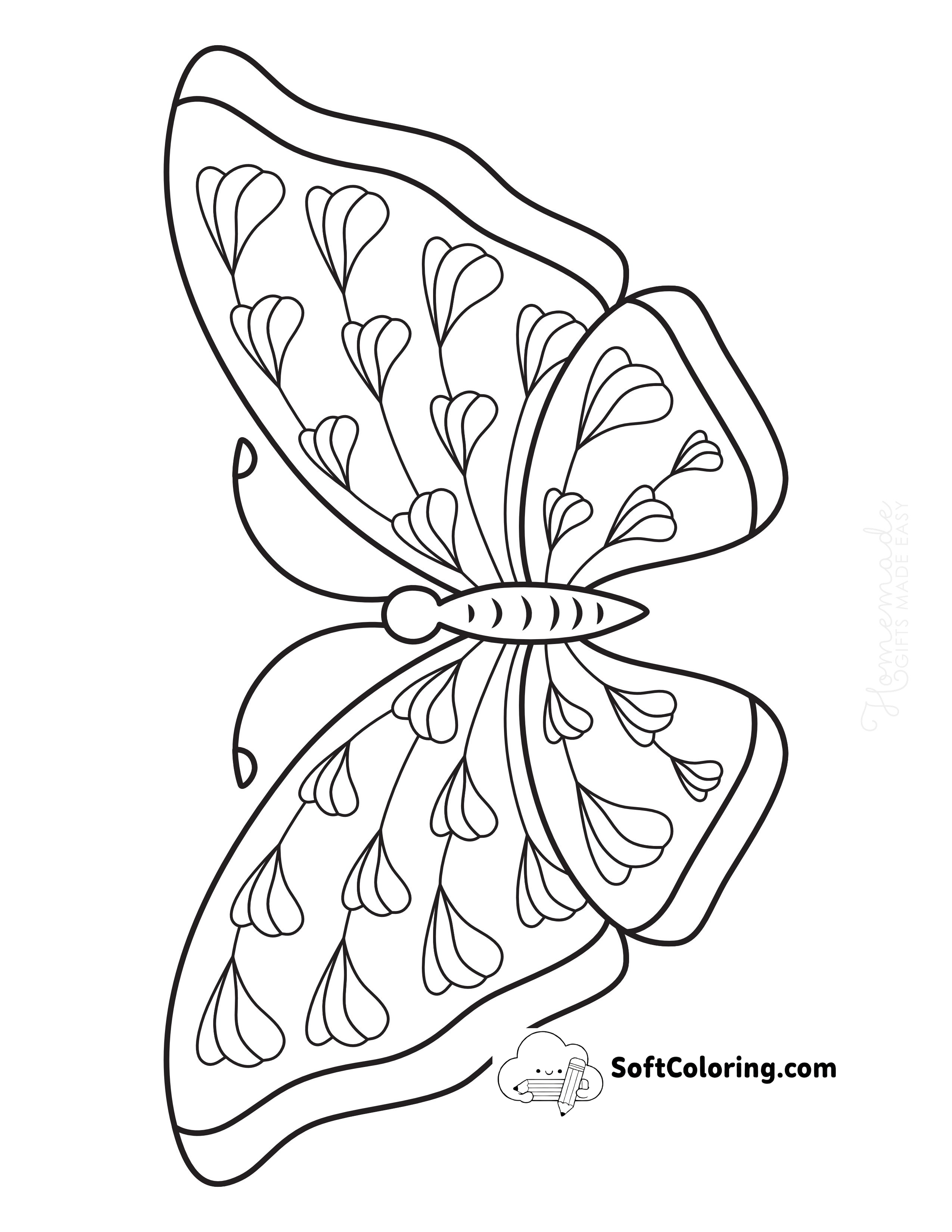Butterfly 6 - Front