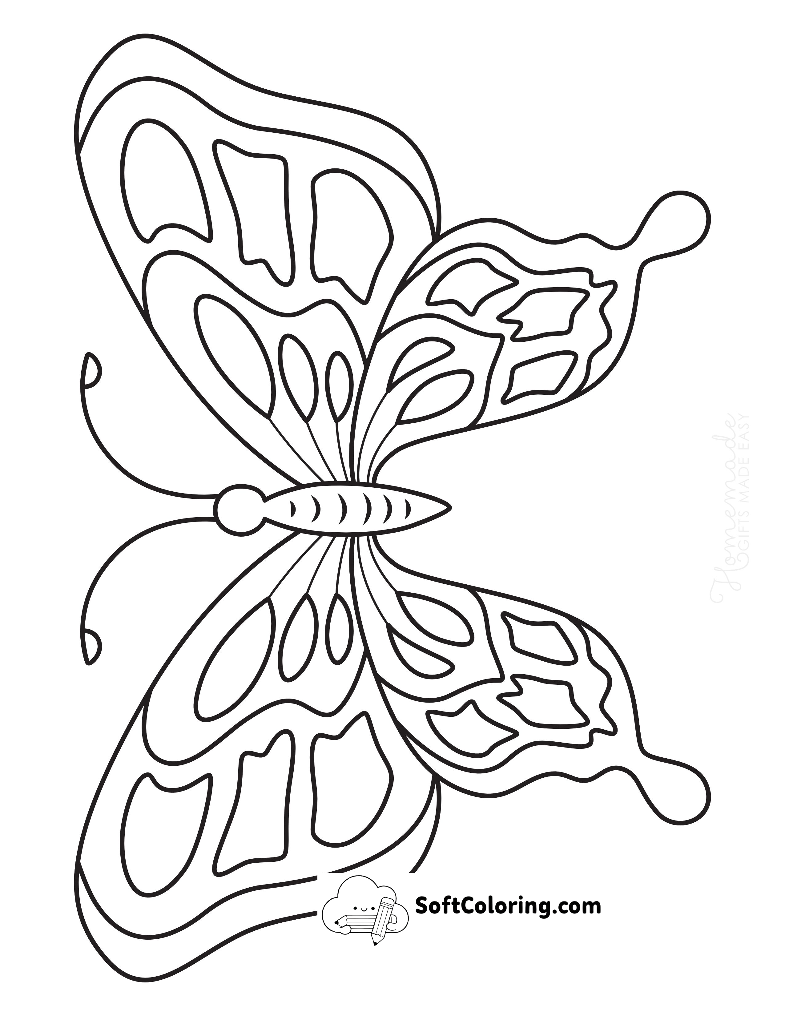 Butterfly 7 - Front