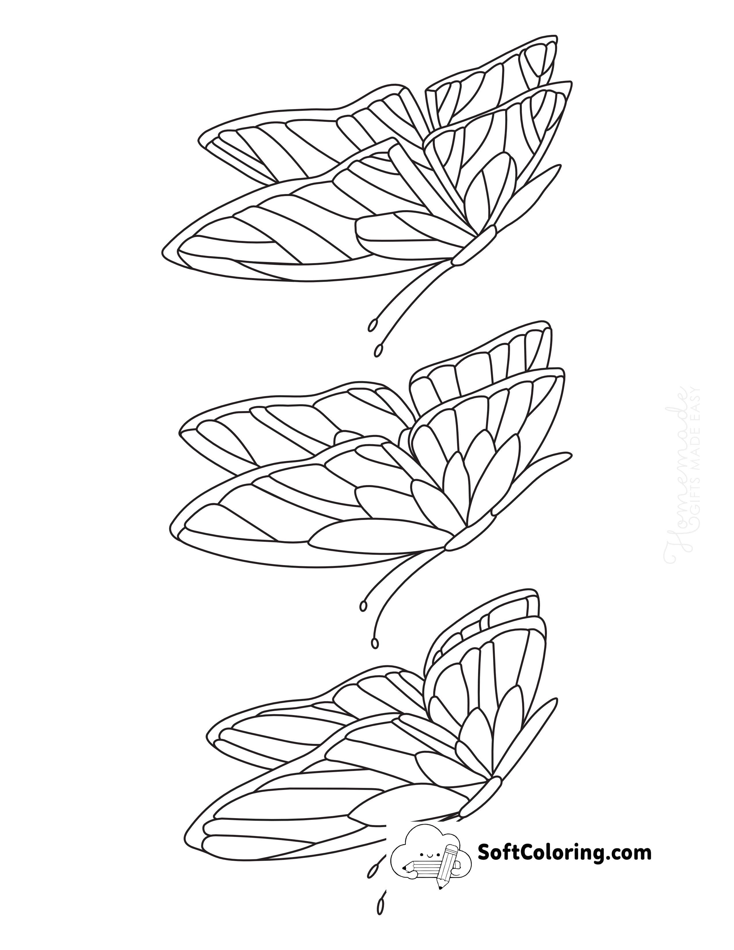 Set of 3 Butterflies to Color
