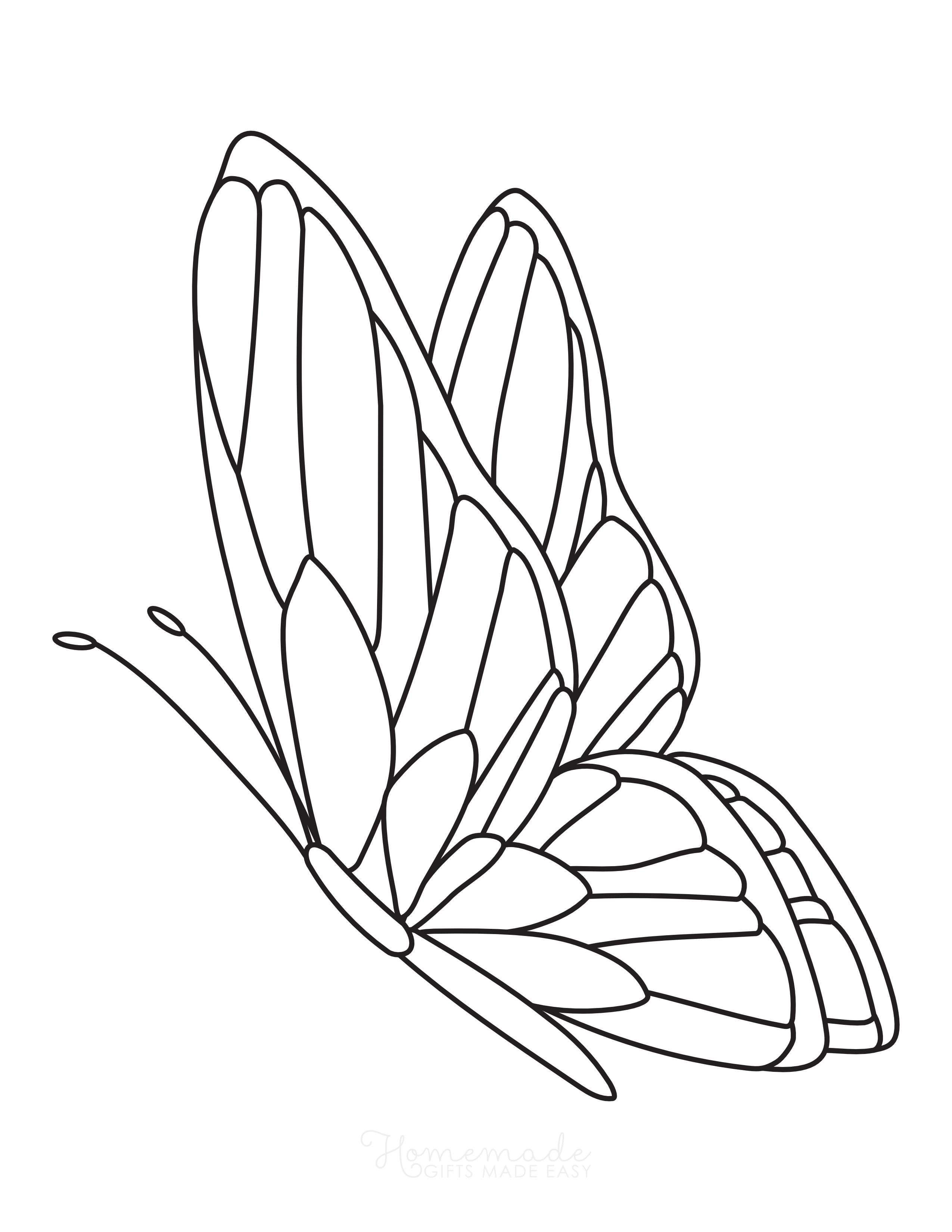 Side-View Butterfly Coloring Sheet