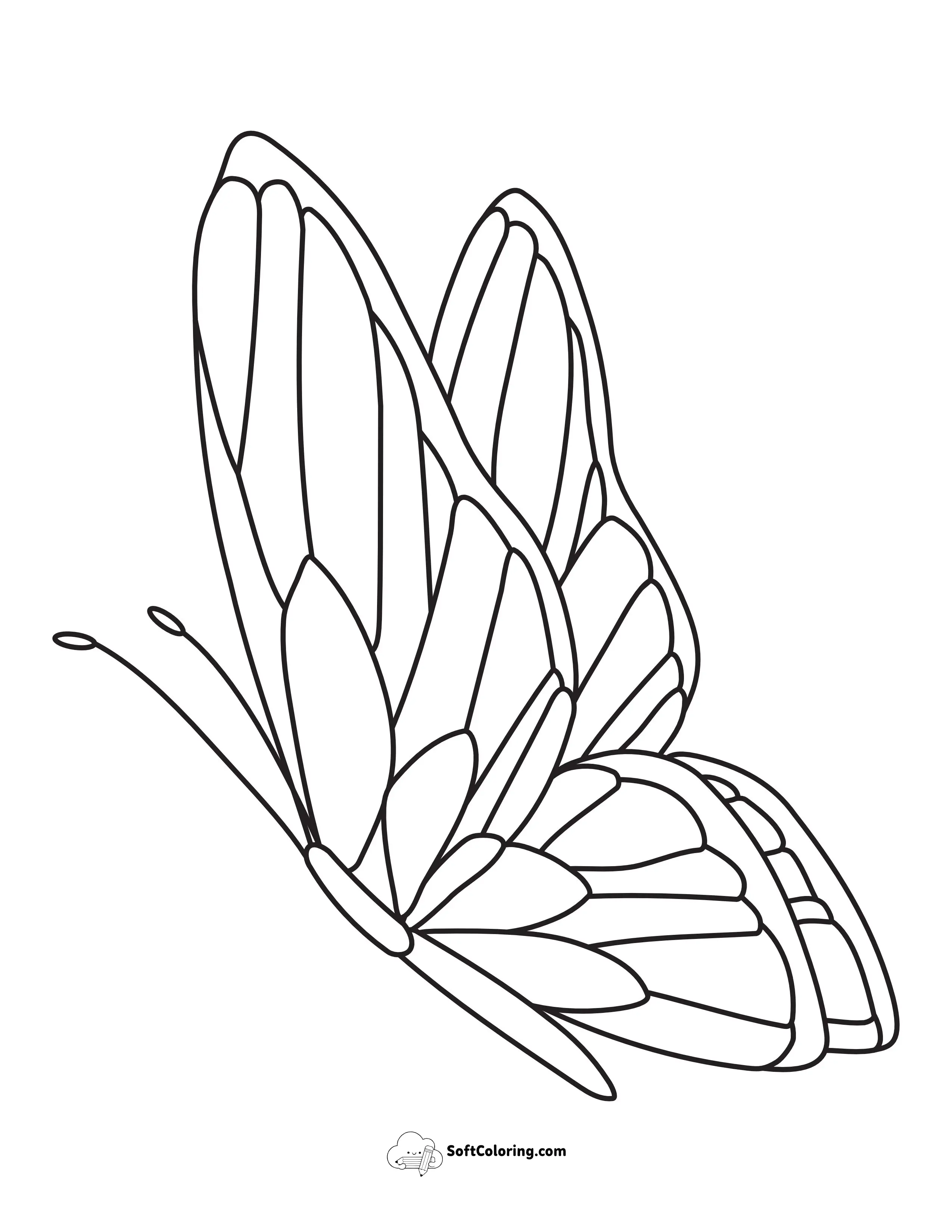 Side-View Butterfly Coloring Sheet