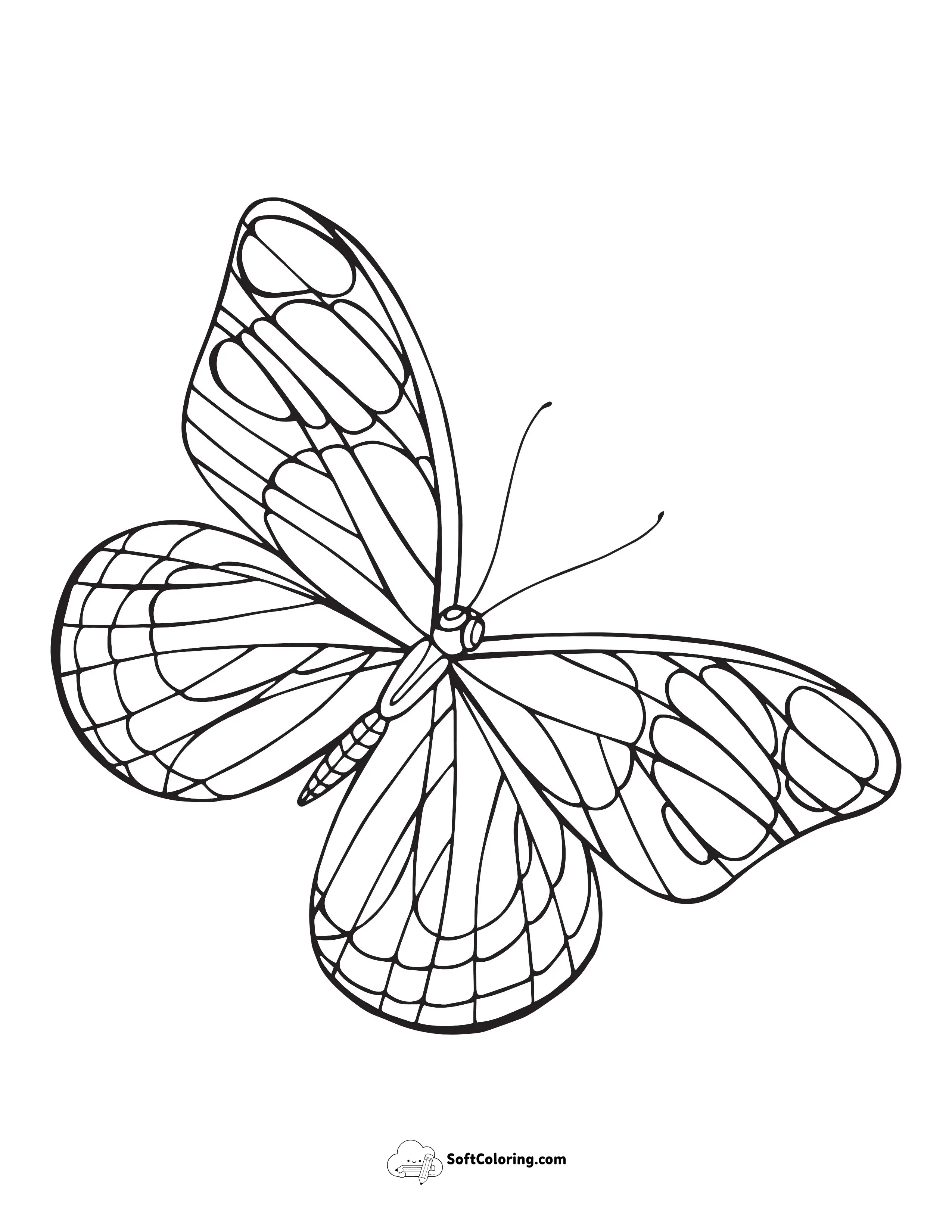 Realistic Butterfly Printable Coloring Page
