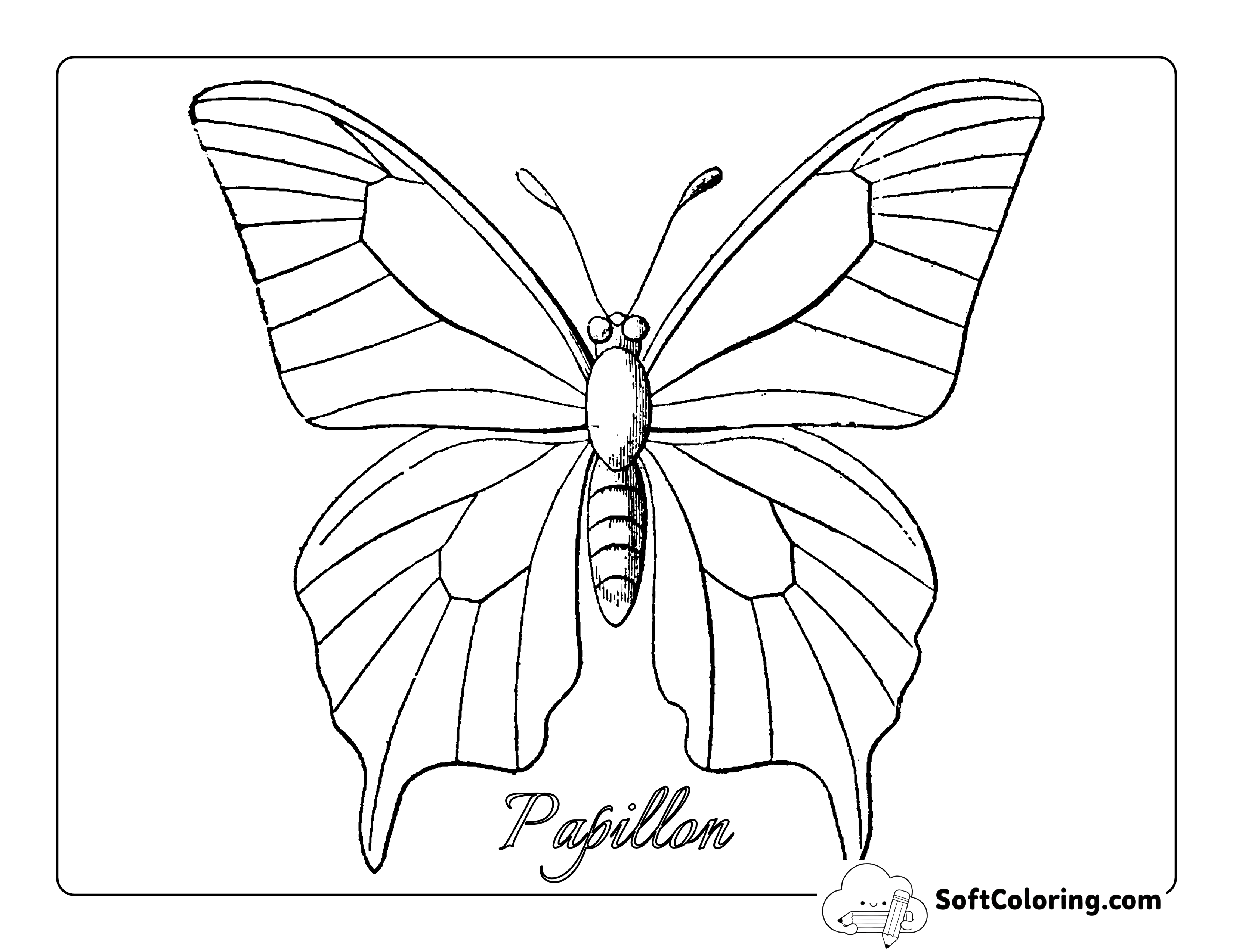 Butterfly Sketch to Color