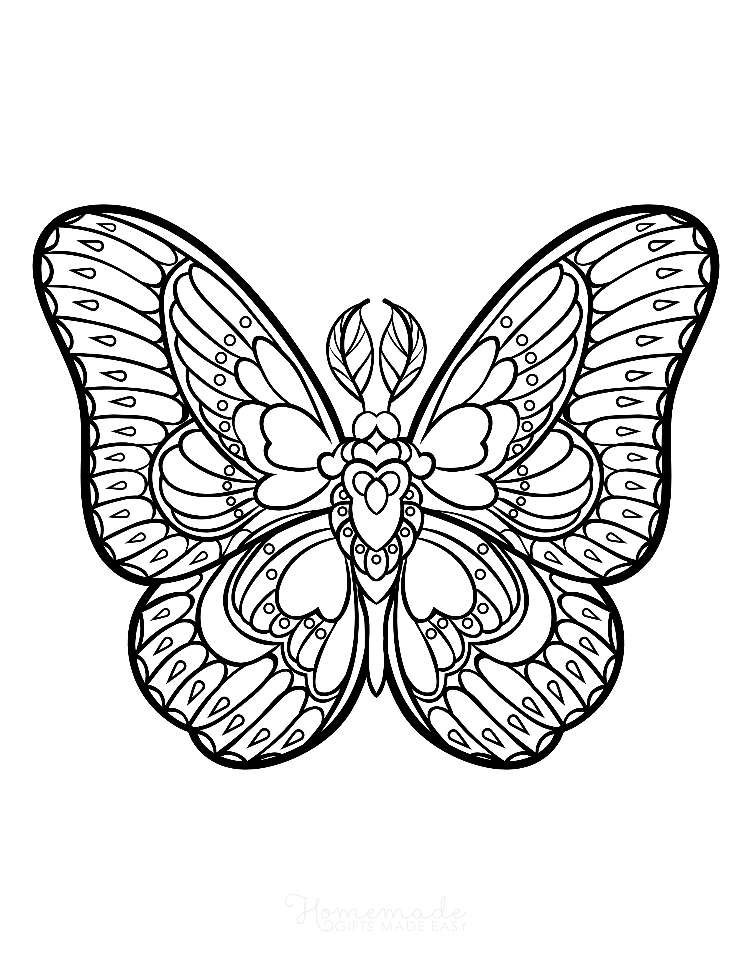 Butterfly with Feathered Antennae Printable Picture to Color