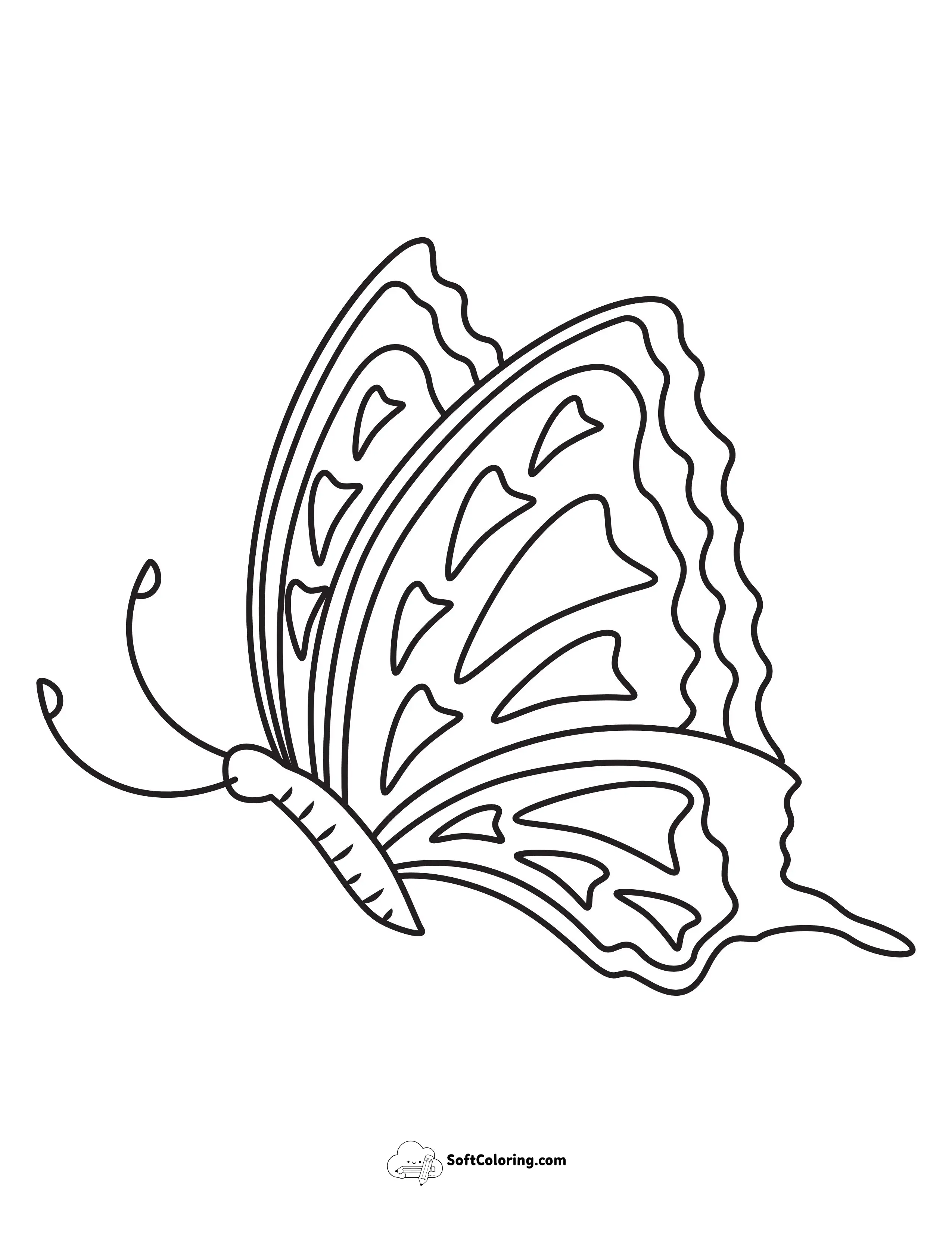 Butterfly 10 - Side