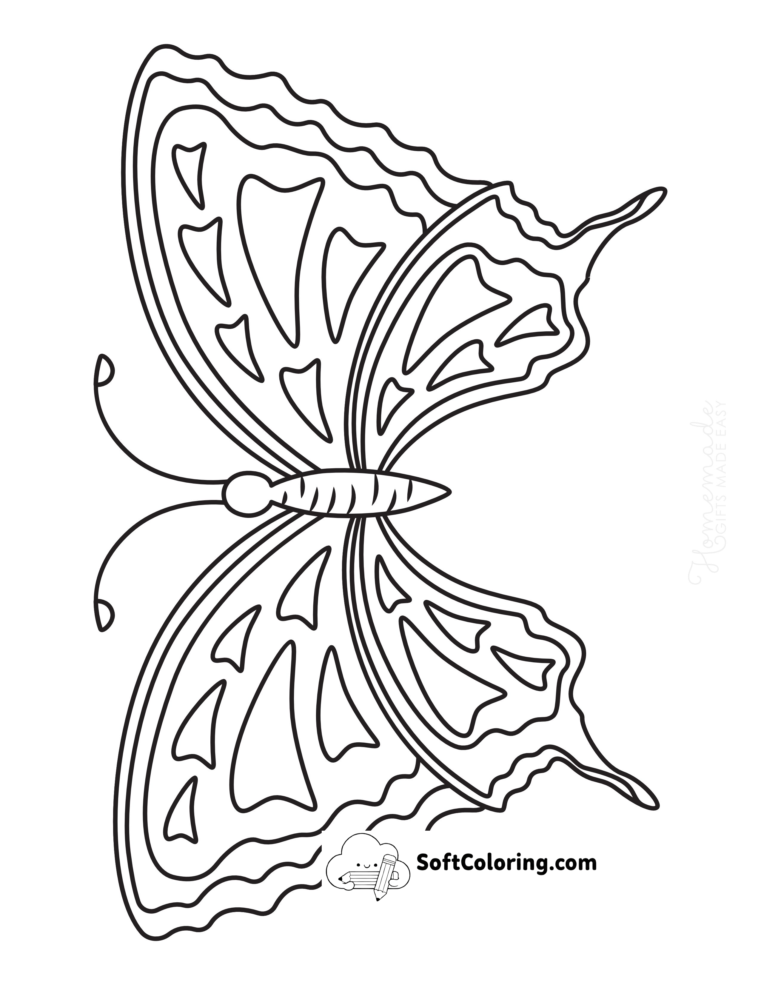 Butterfly 10 - Front