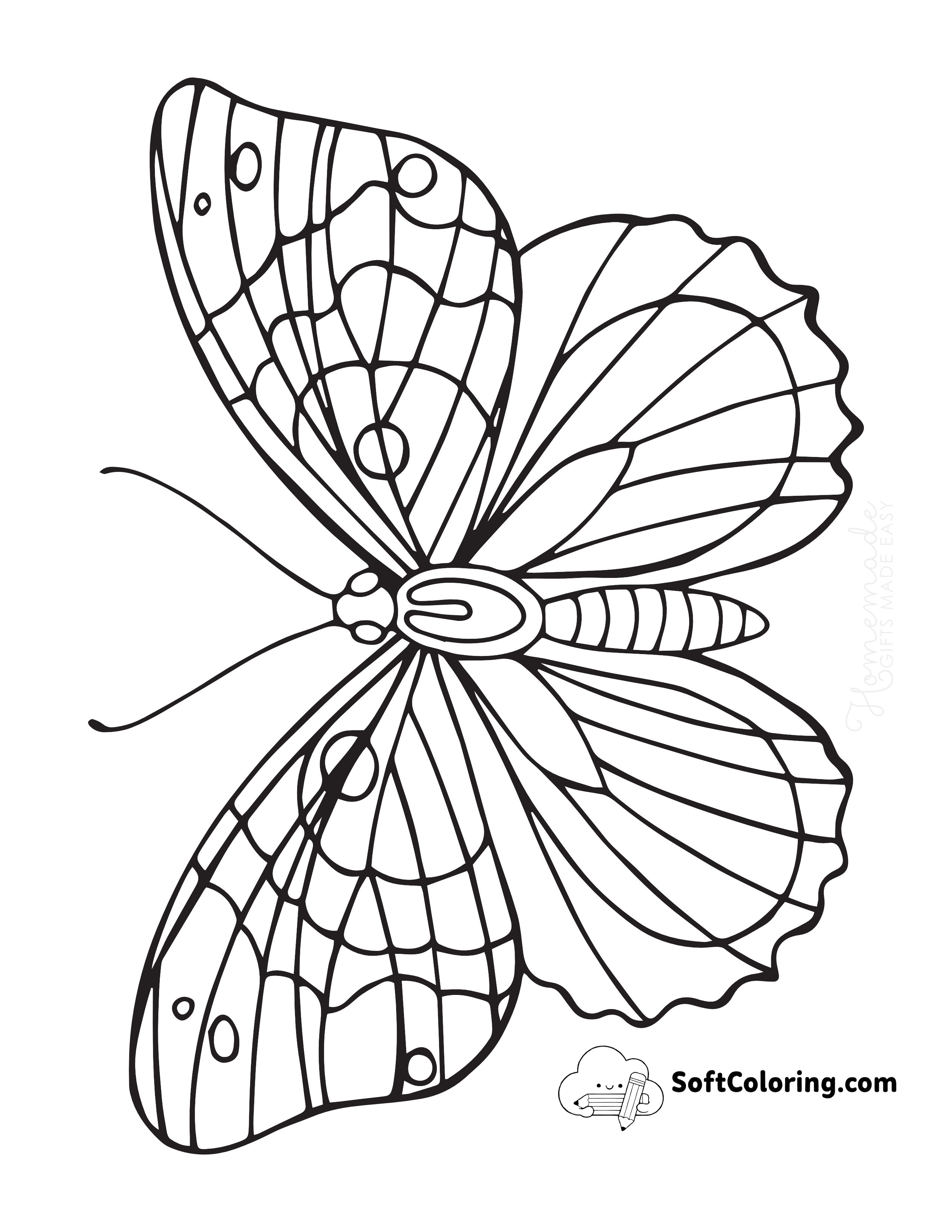 Patterned Wings Large Print Coloring Page for Seniors