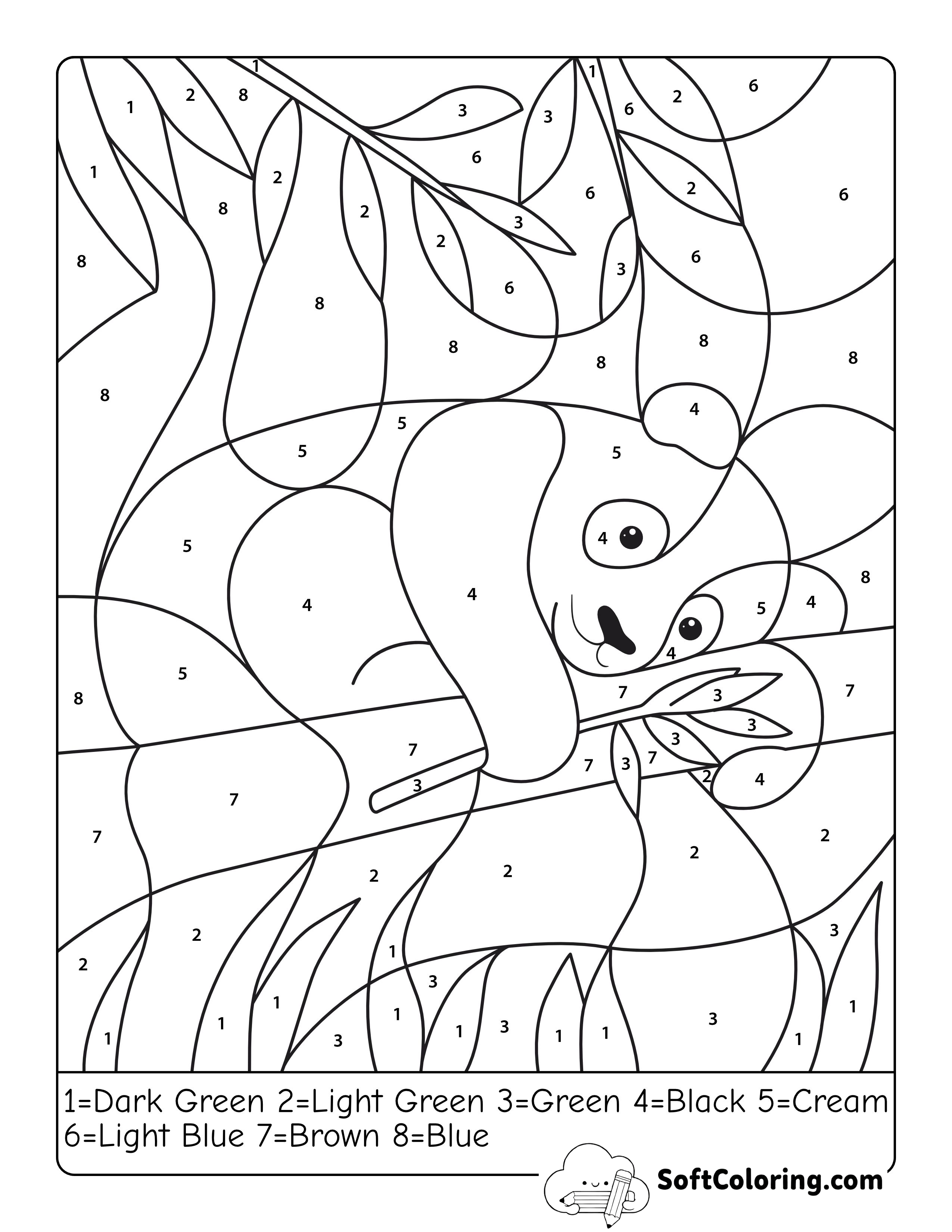 Panda Color by Number Picture
