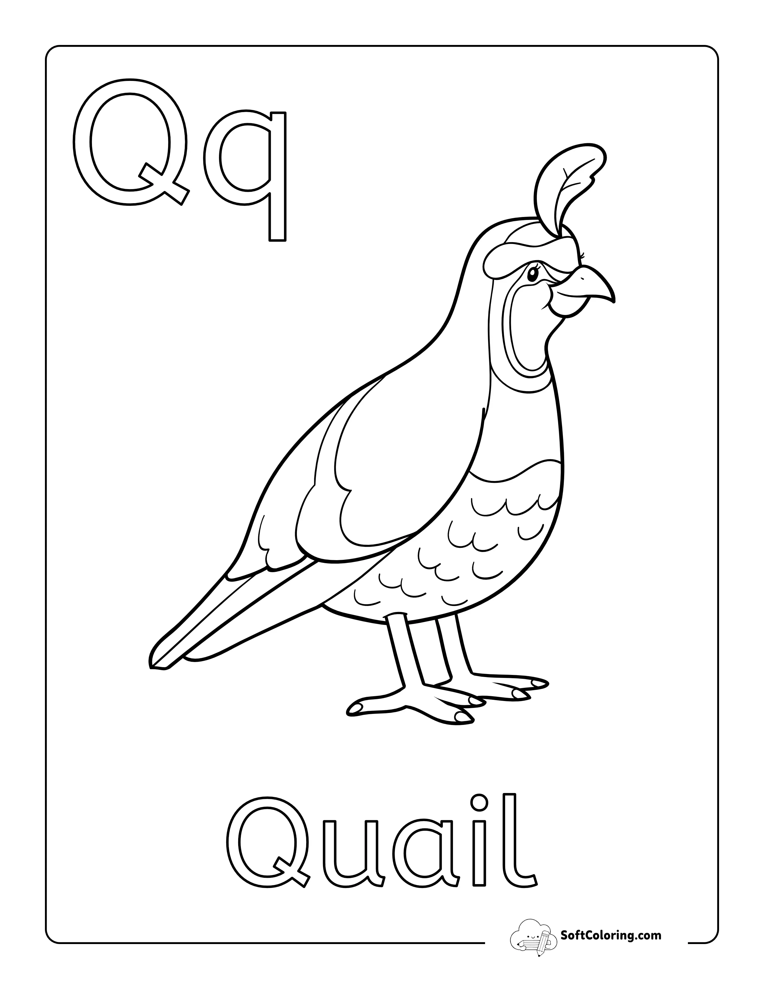"Q Is For Quail" Coloring Sheet For Kids