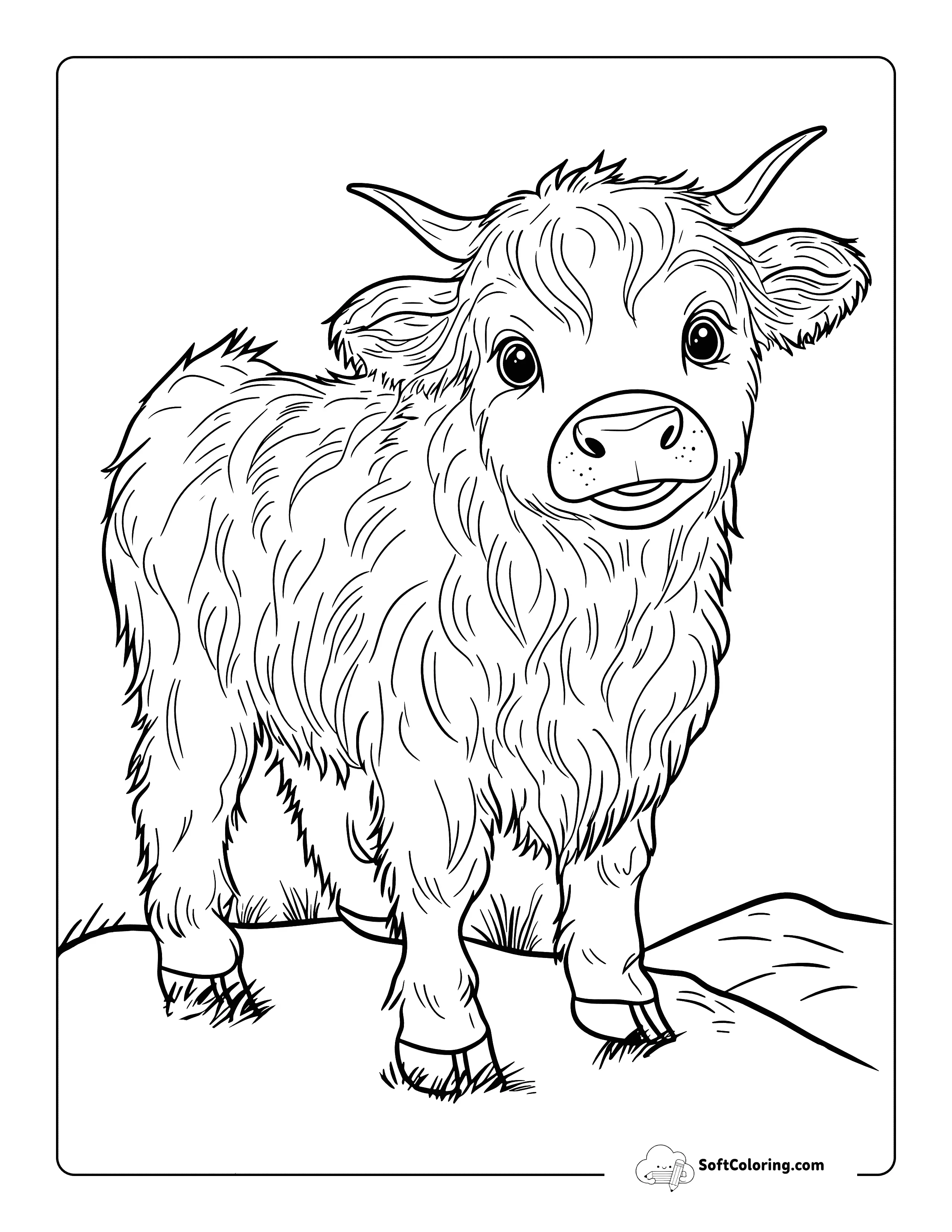 Cute Baby Highland Cow Coloring Page