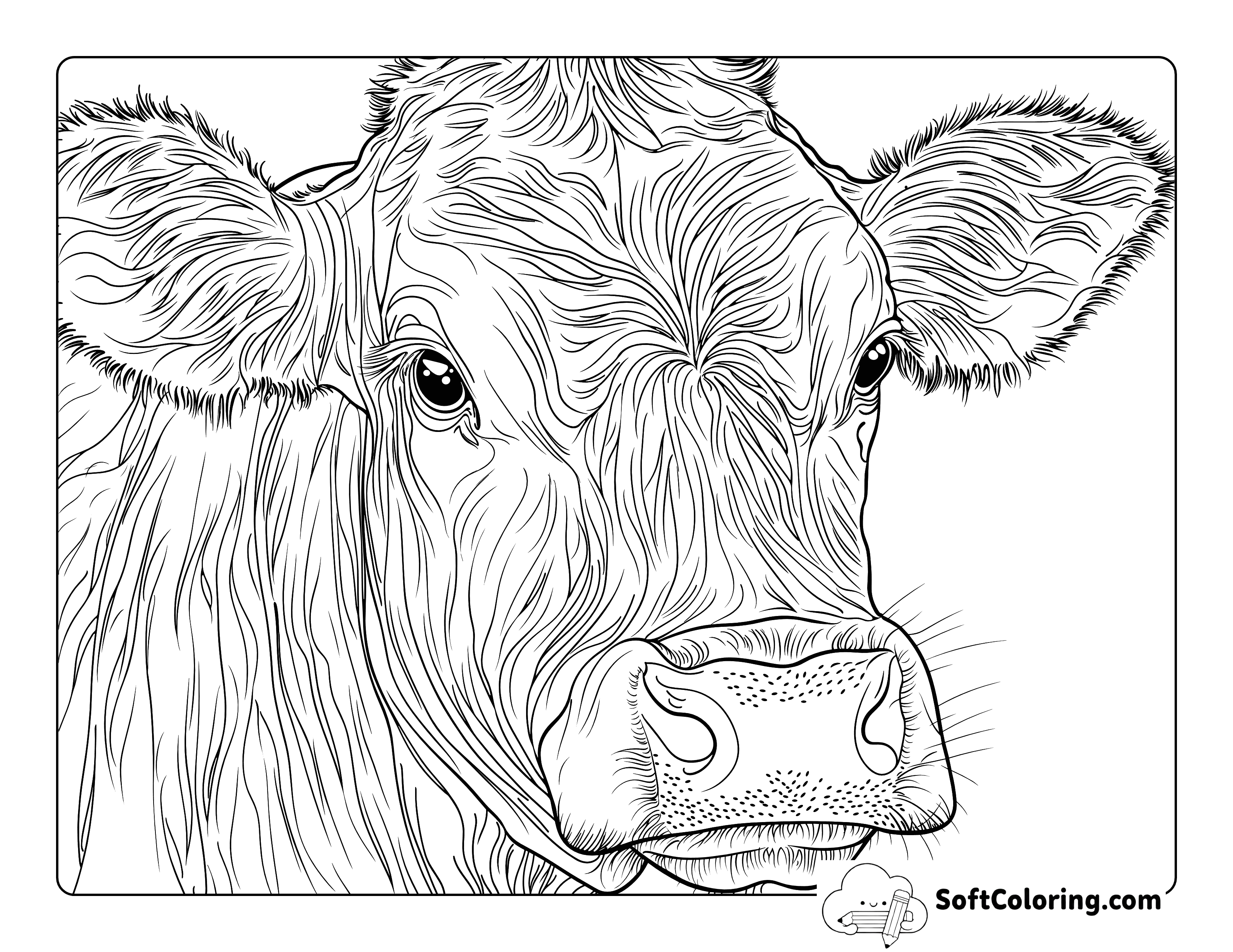 Realistic Cow Head Coloring Page for Adults