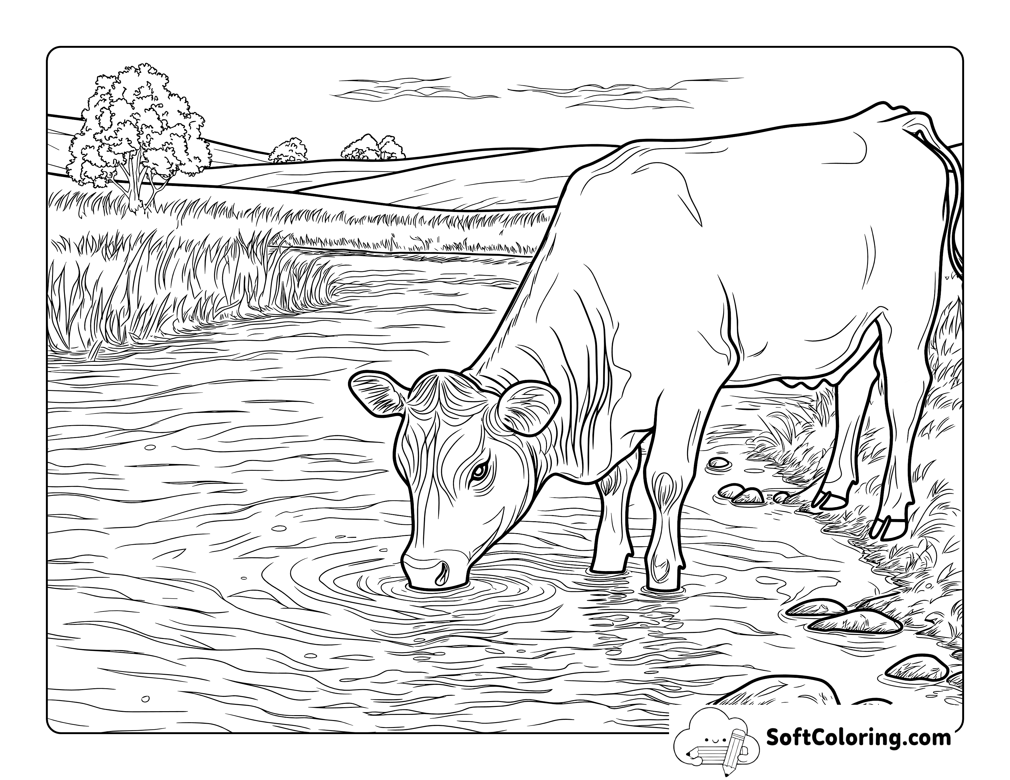 Realistic Drinking Cow Coloring Page Printable