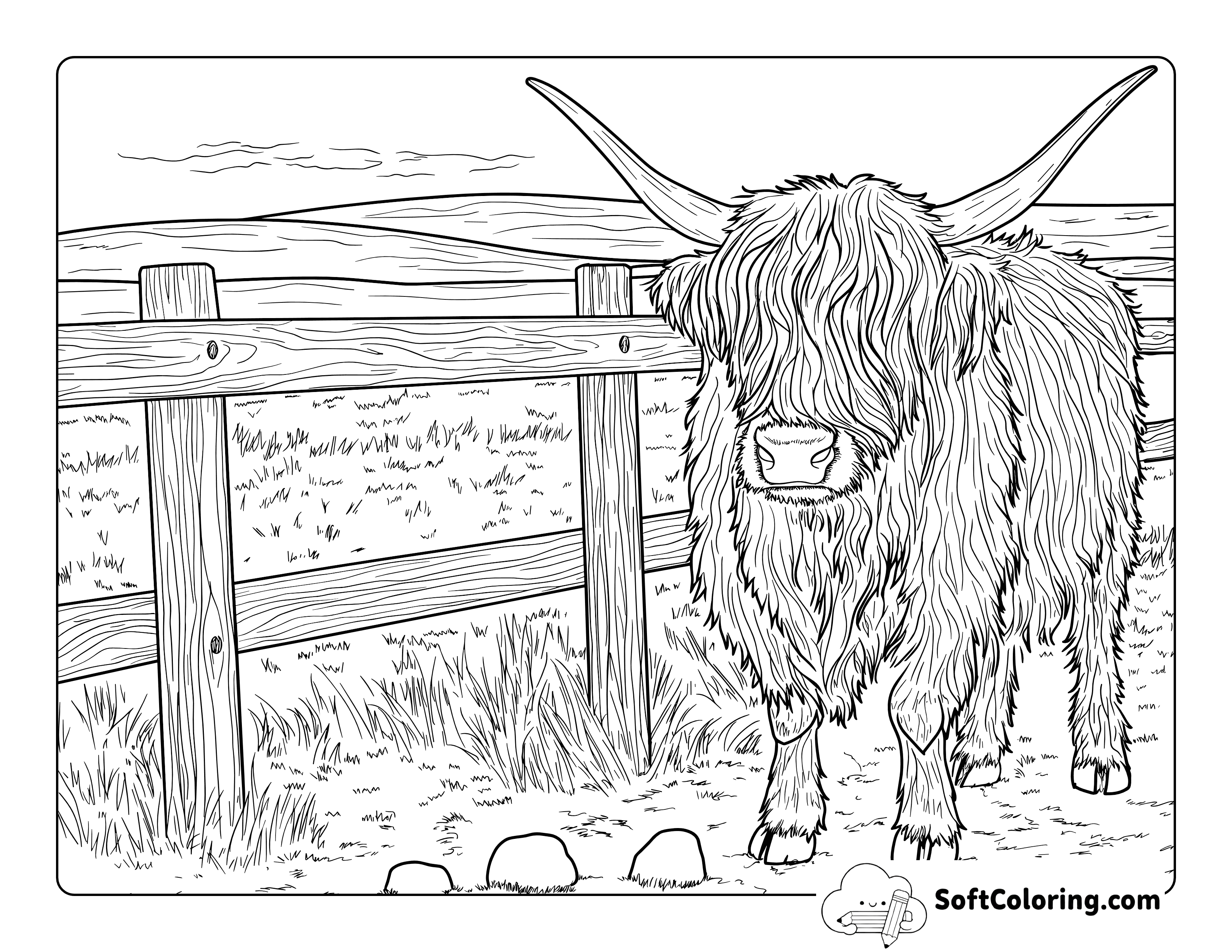 Realistic Highland Cow Coloring Page Printable