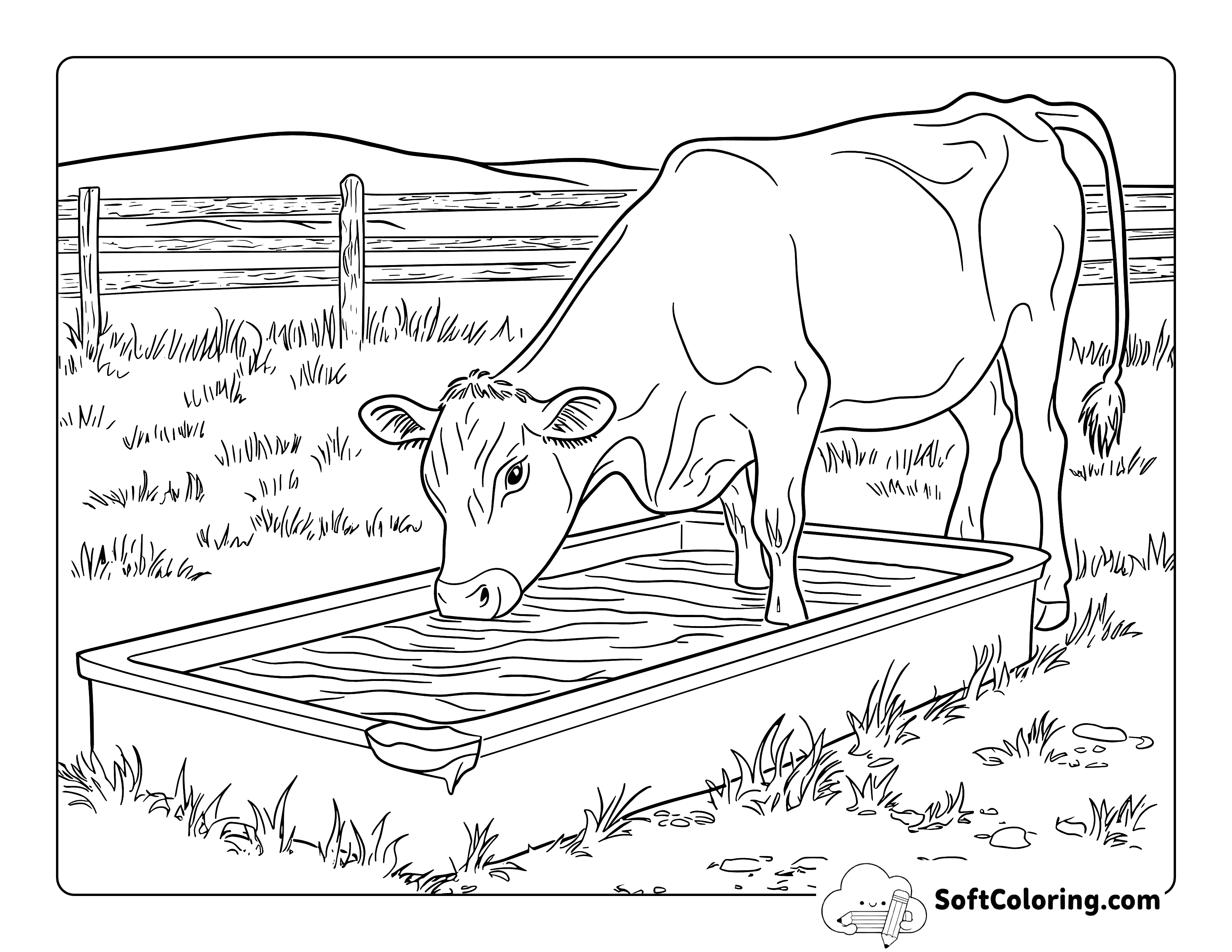 Simple Drinking at Trough Cow Coloring Page
