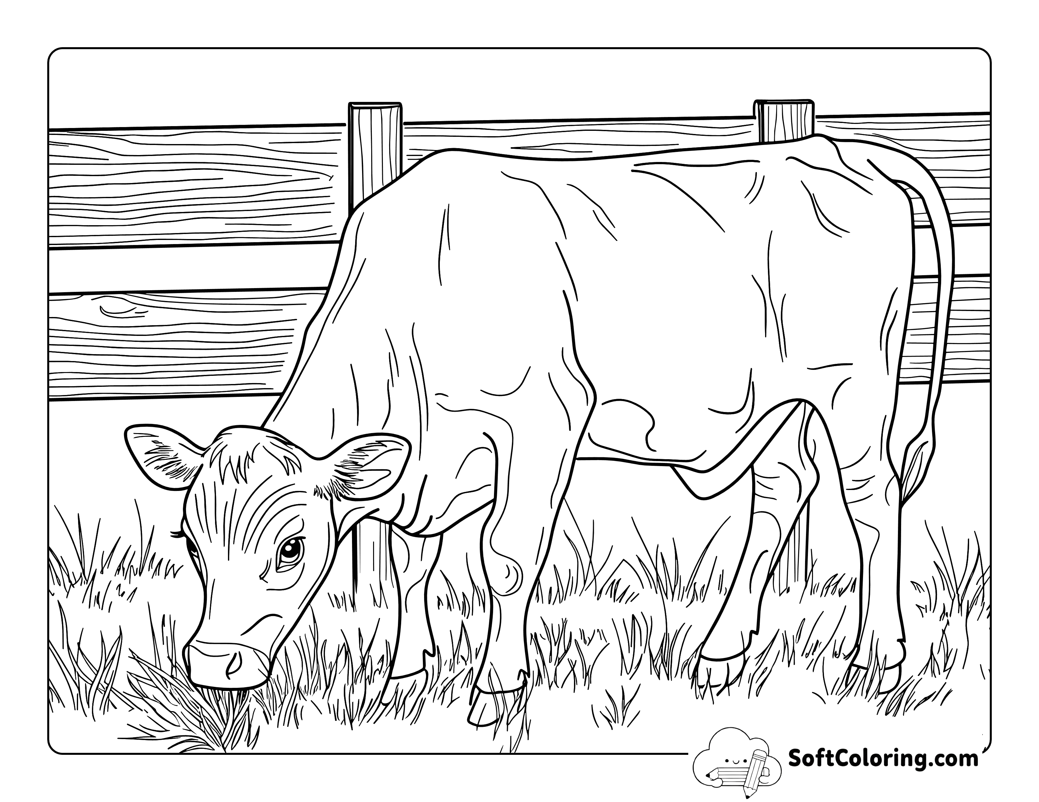 Realistic Grazing Cow Coloring Page
