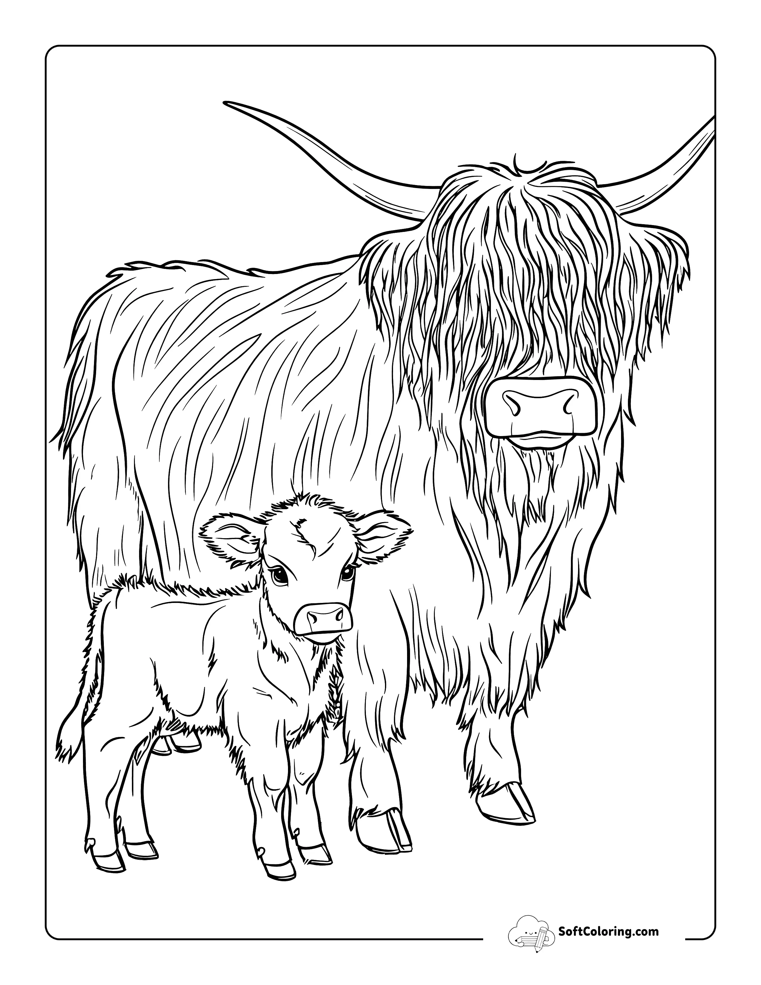 Cute Baby Cow And Mom Highland Cow Coloring Sheet