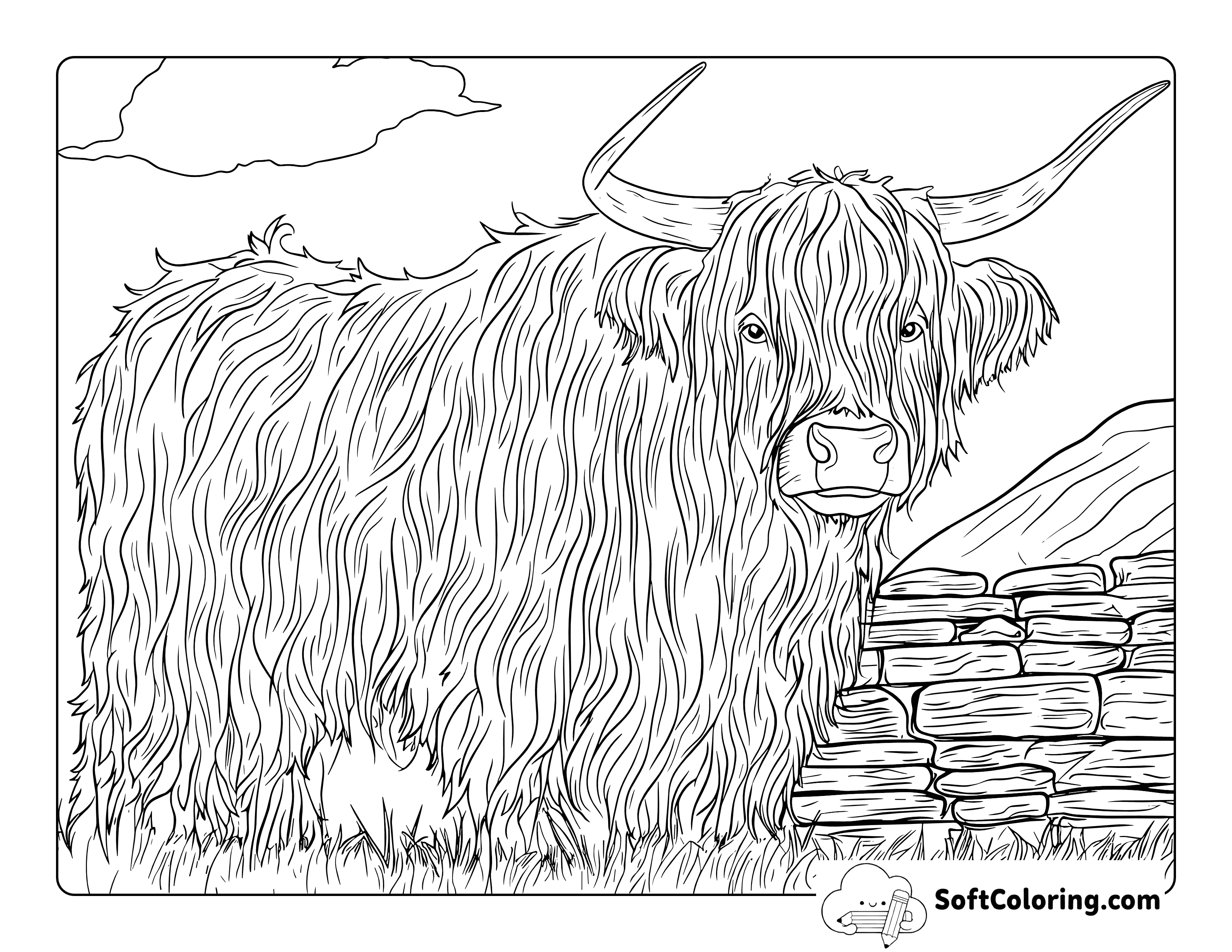 Shaggy Highland Cow Coloring Sheet for Adults