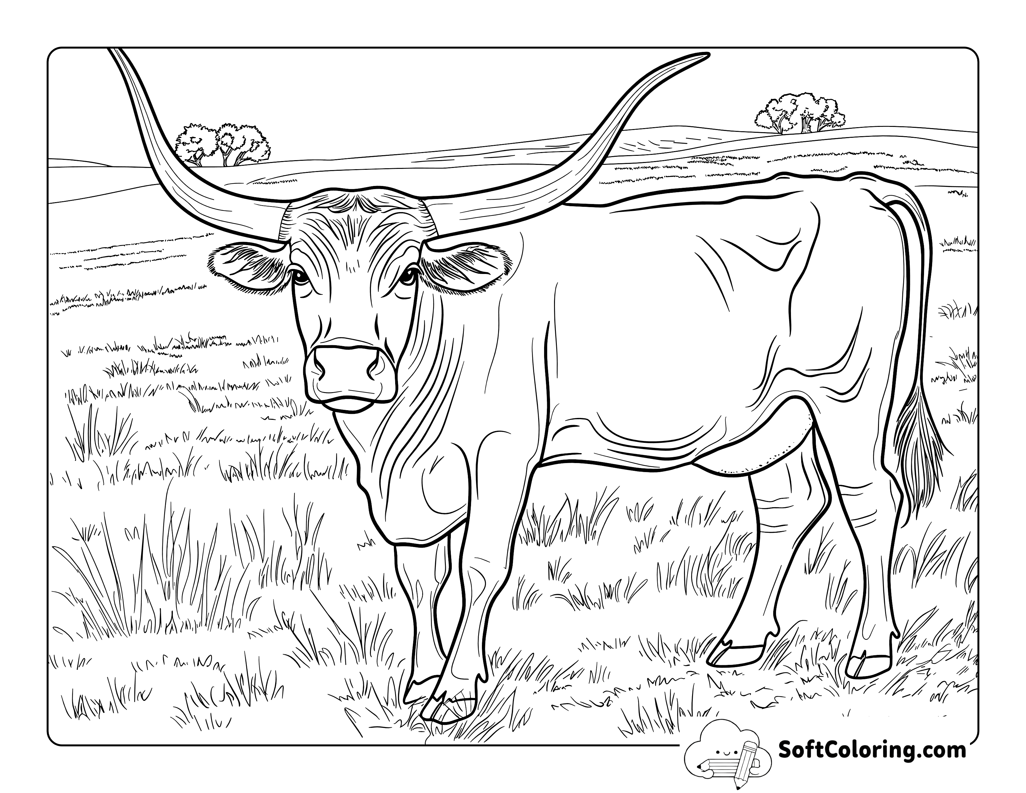 Simple and Realistic Longhorn Cow Coloring Page Printable