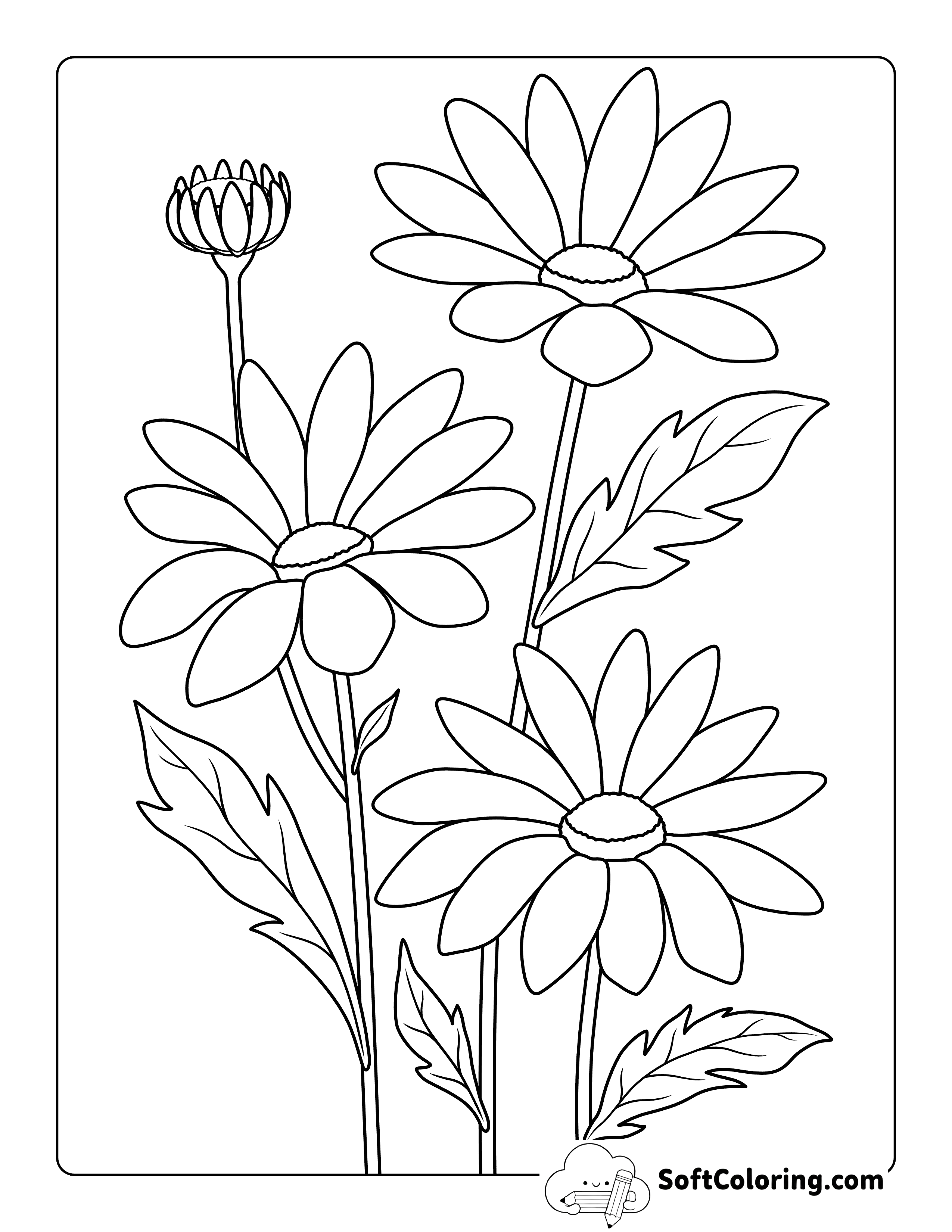 Daisy Coloring Pages 4 Cute Easy Realistic Daisies