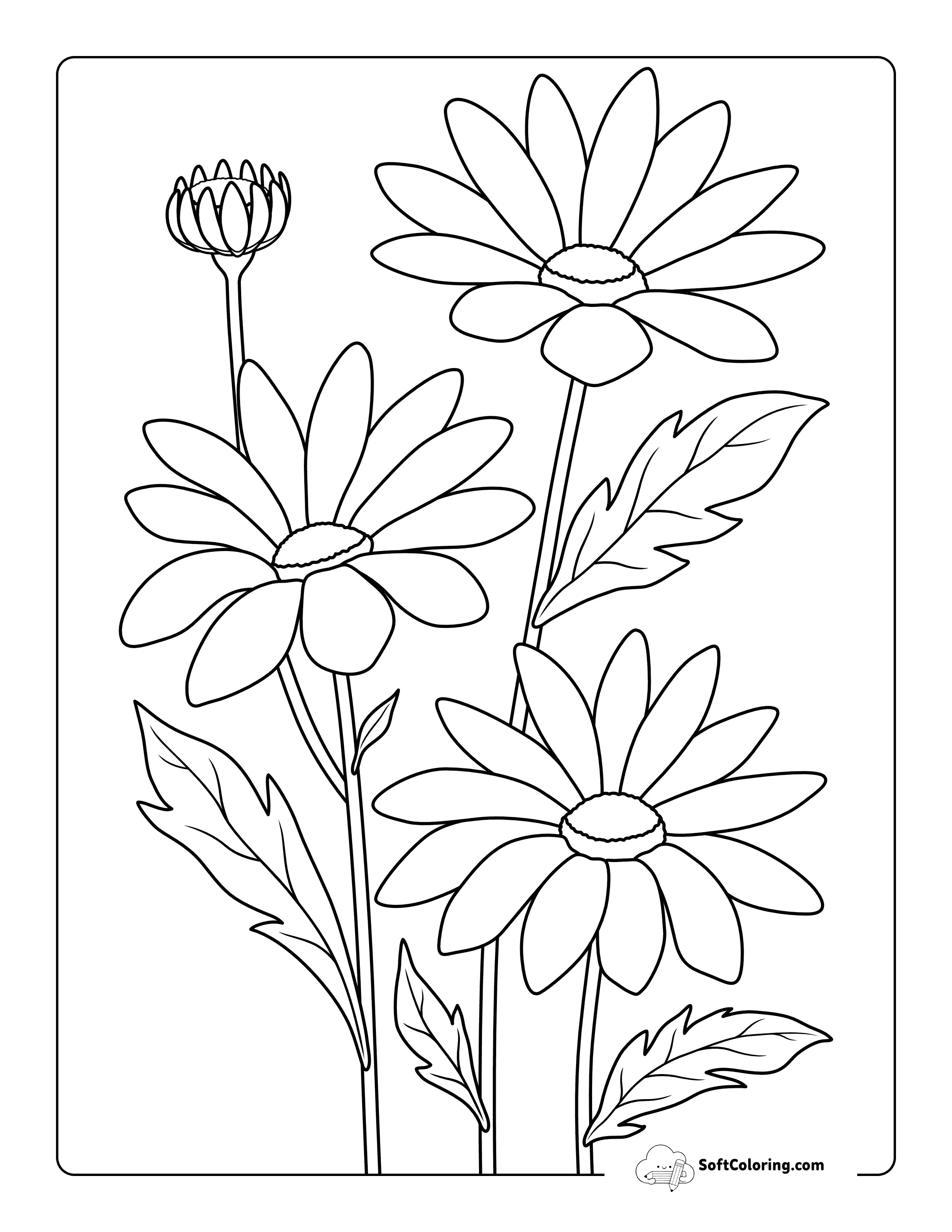 Daisy Coloring Pages 4 Cute Easy Realistic Daisies