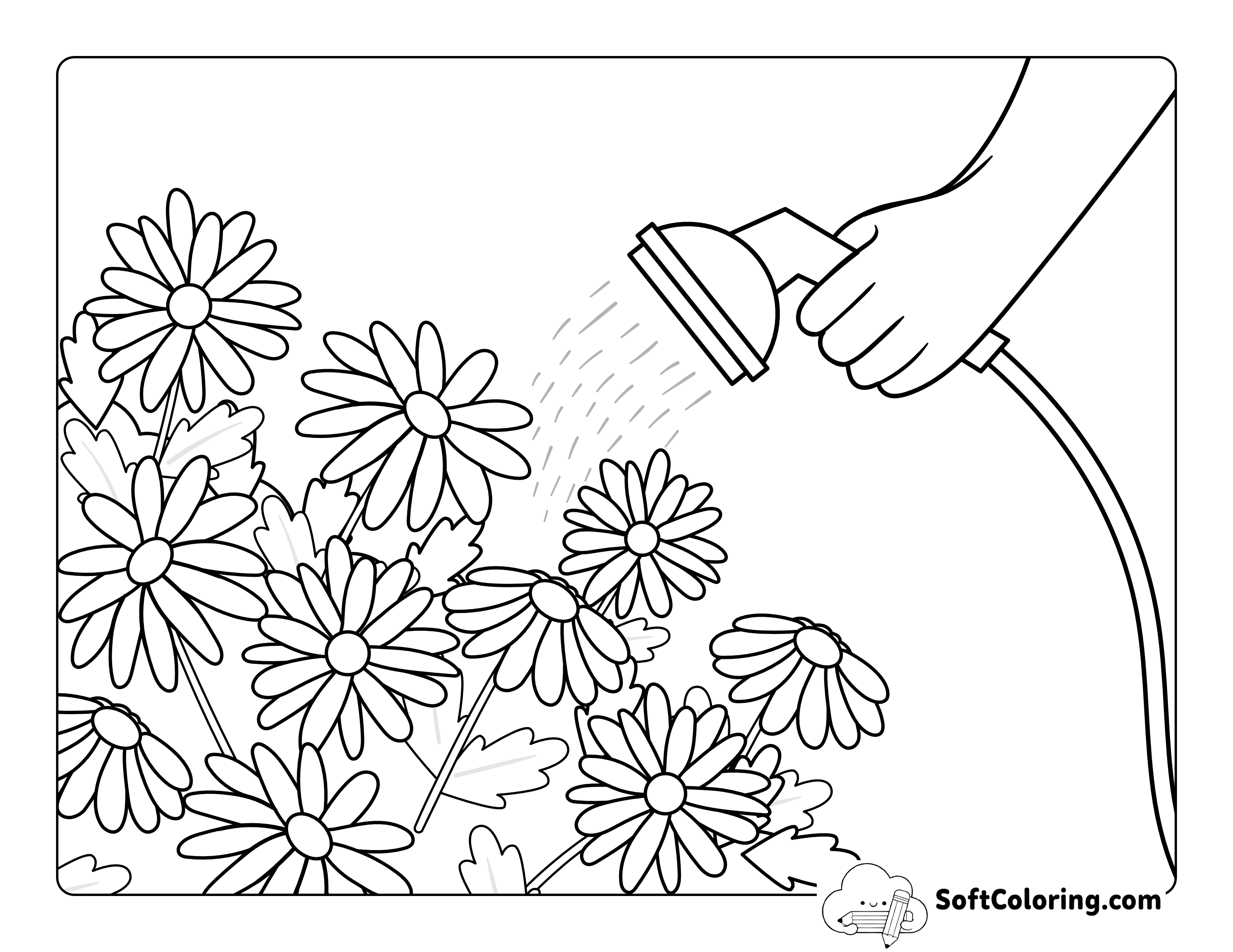 Simple Watering Flowers Daisy Coloring Sheet