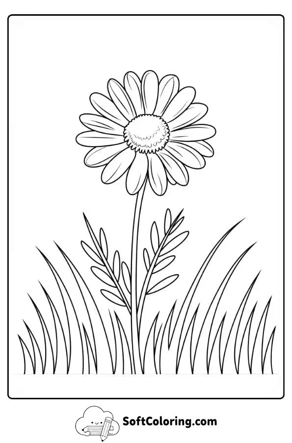 Daisy in a Field Coloring Page